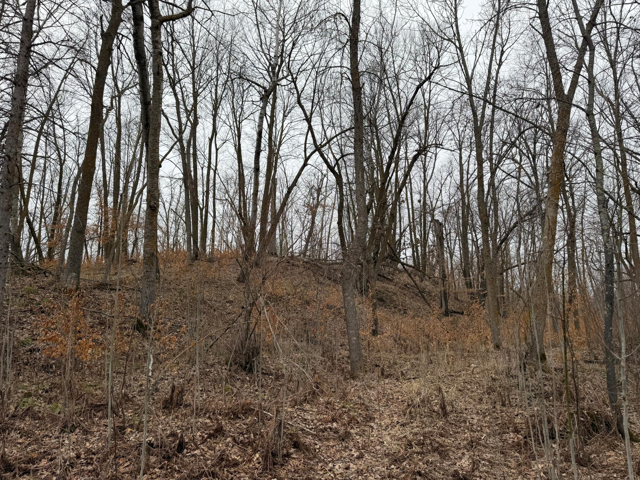 Tbd 460th Street Gonvick, MN 56644 - Photo 42 of 57