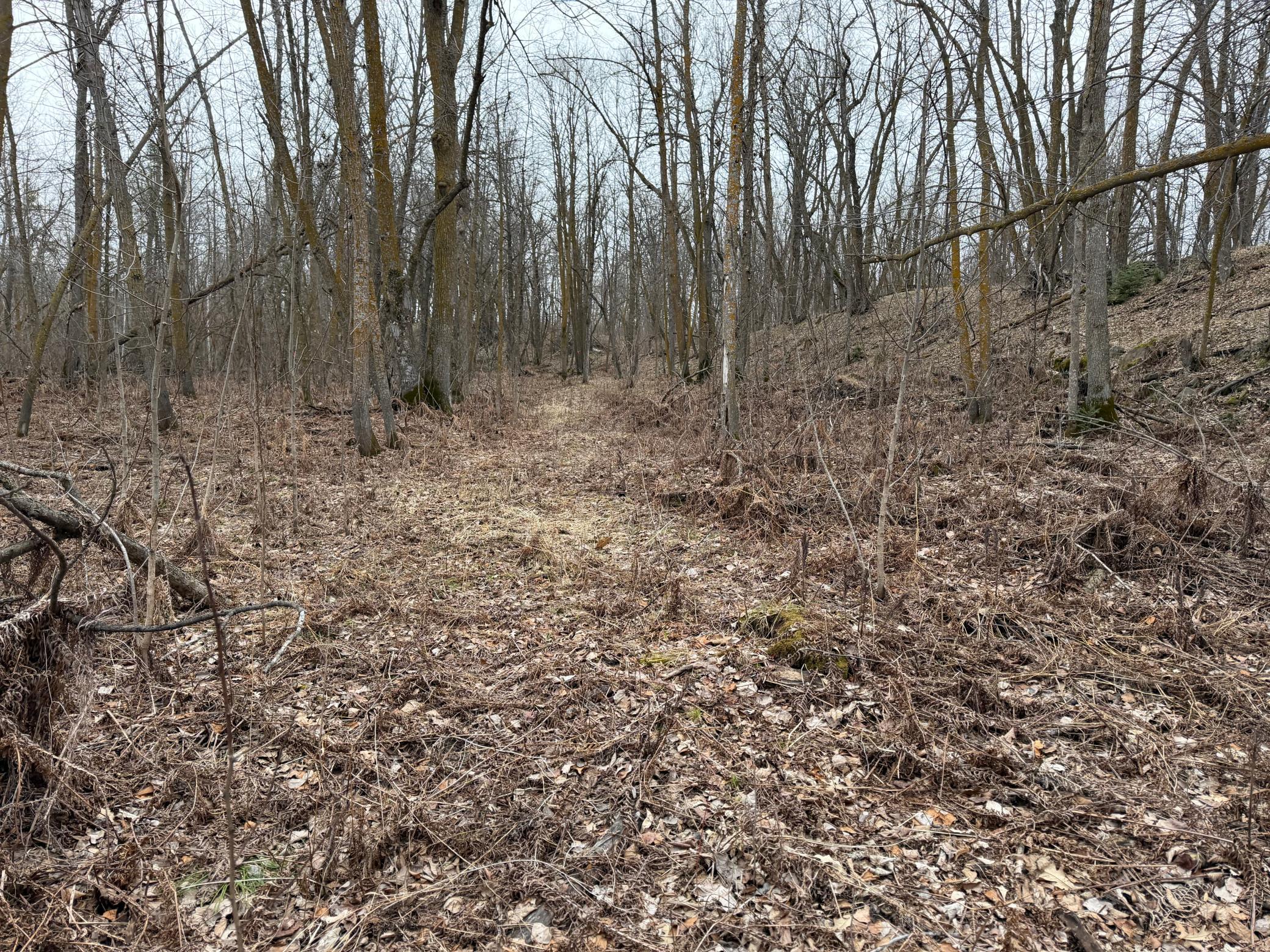 Tbd 460th Street Gonvick, MN 56644 - Photo 45 of 57