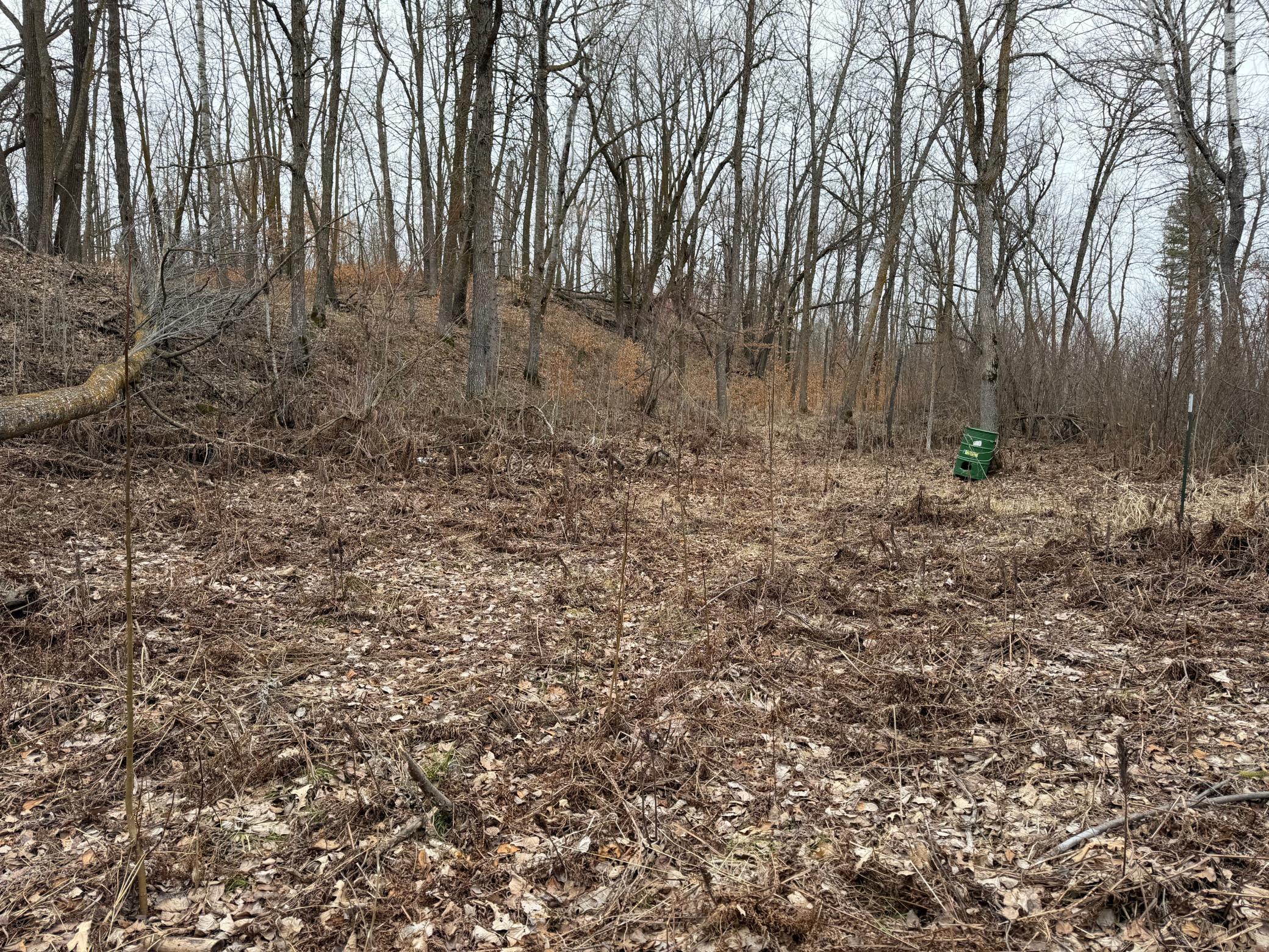 Tbd 460th Street Gonvick, MN 56644 - Photo 46 of 57