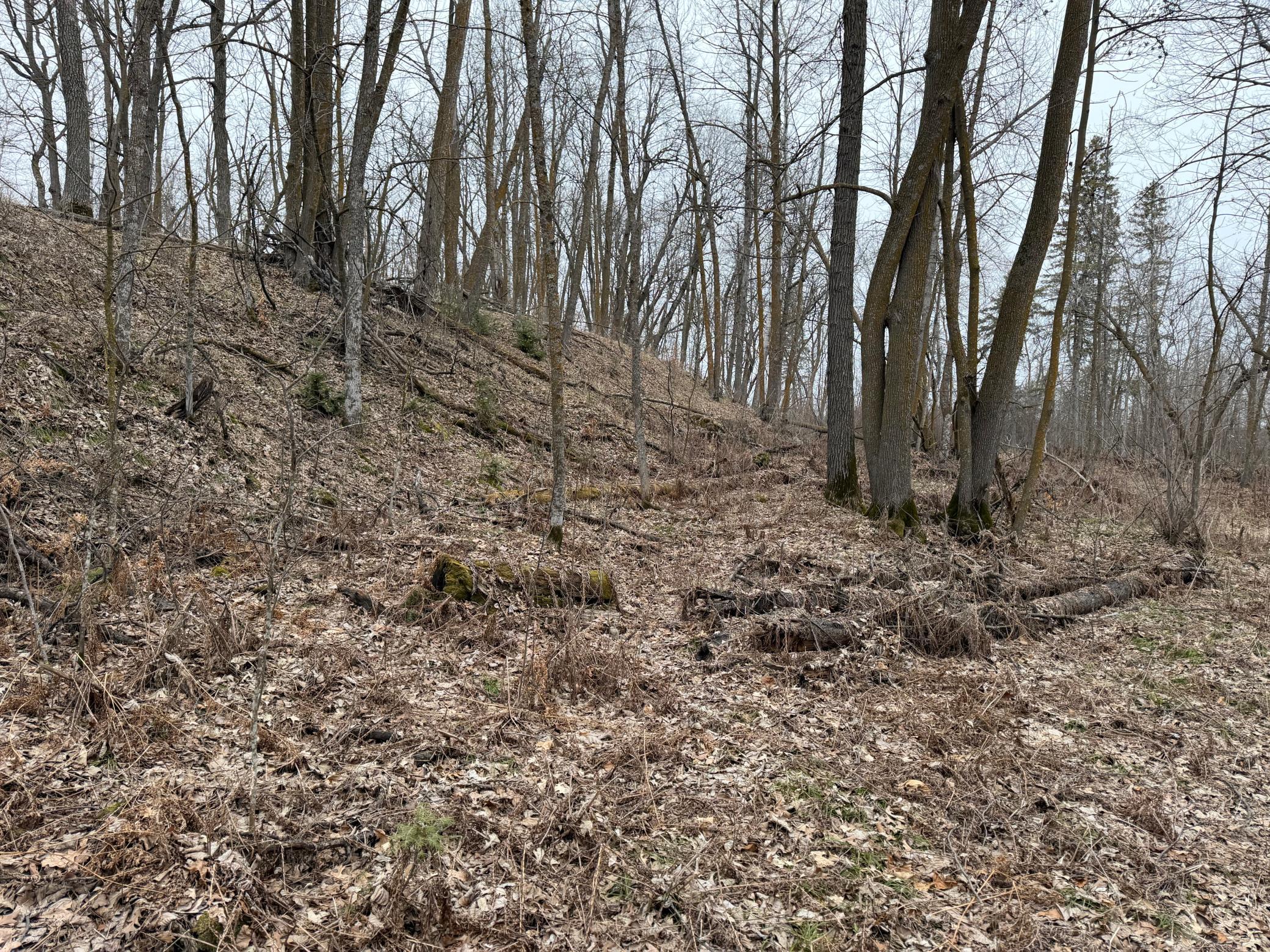 Tbd 460th Street Gonvick, MN 56644 - Photo 47 of 57