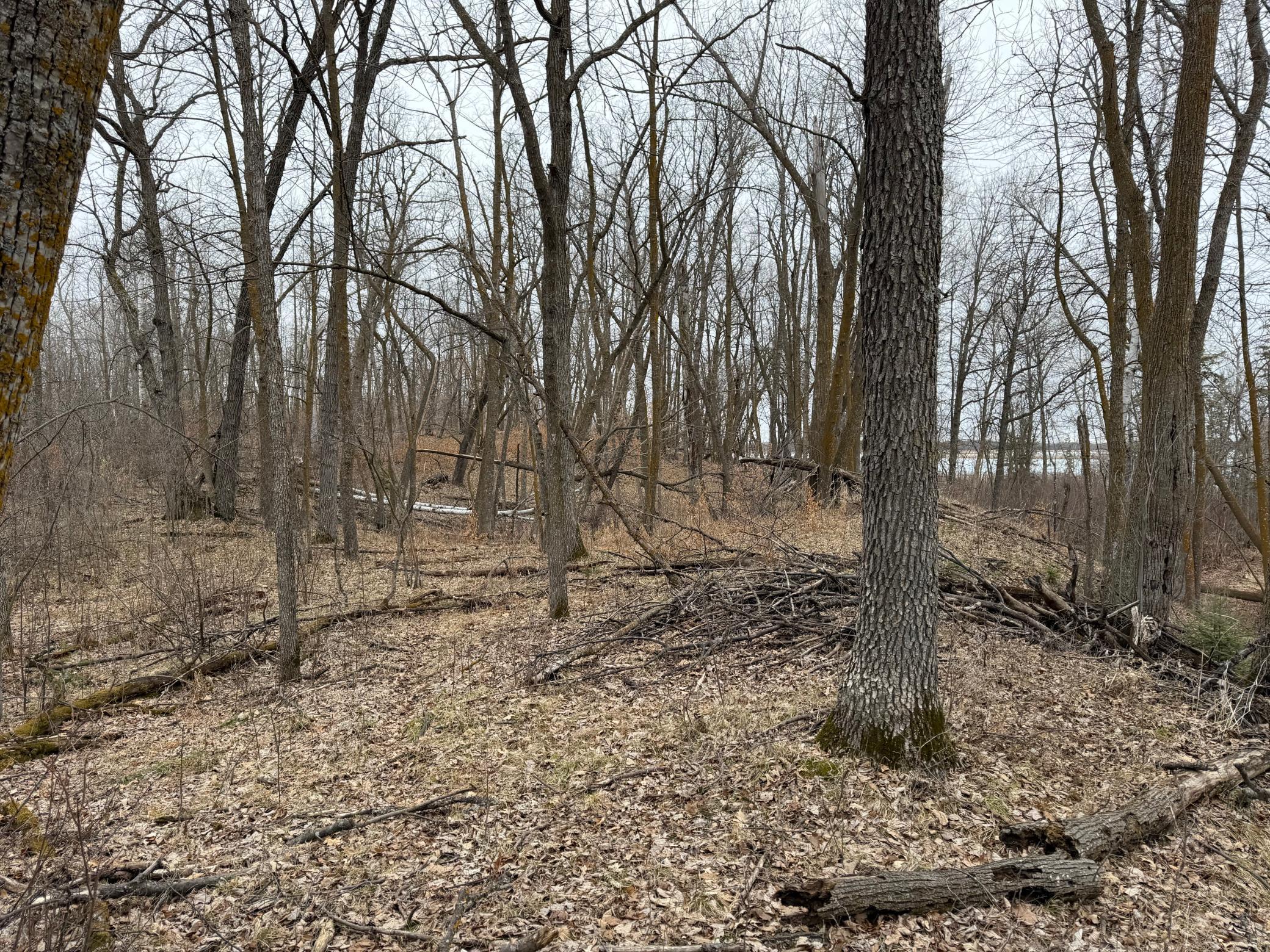 Tbd 460th Street Gonvick, MN 56644 - Photo 49 of 57