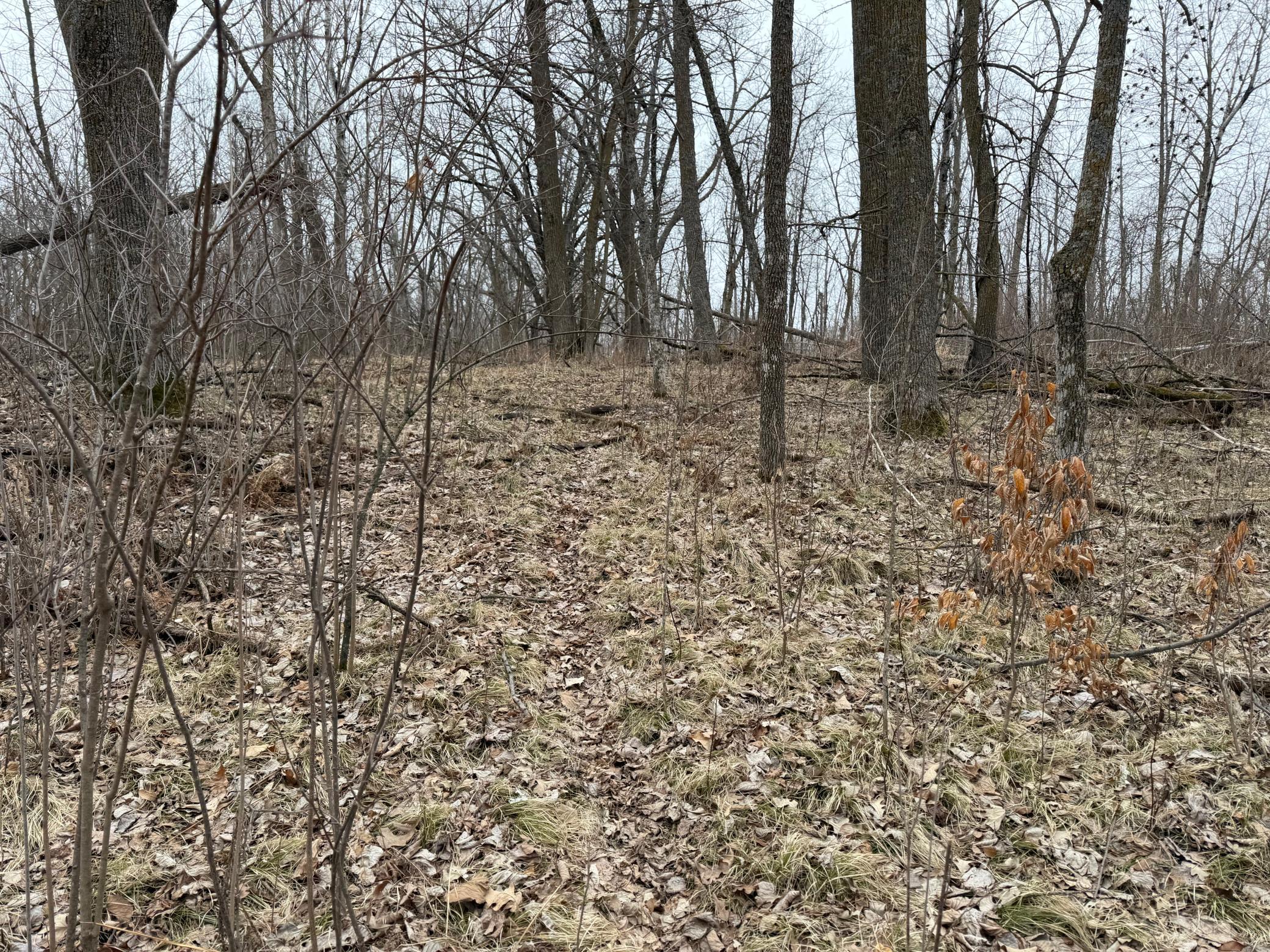 Tbd 460th Street Gonvick, MN 56644 - Photo 50 of 57