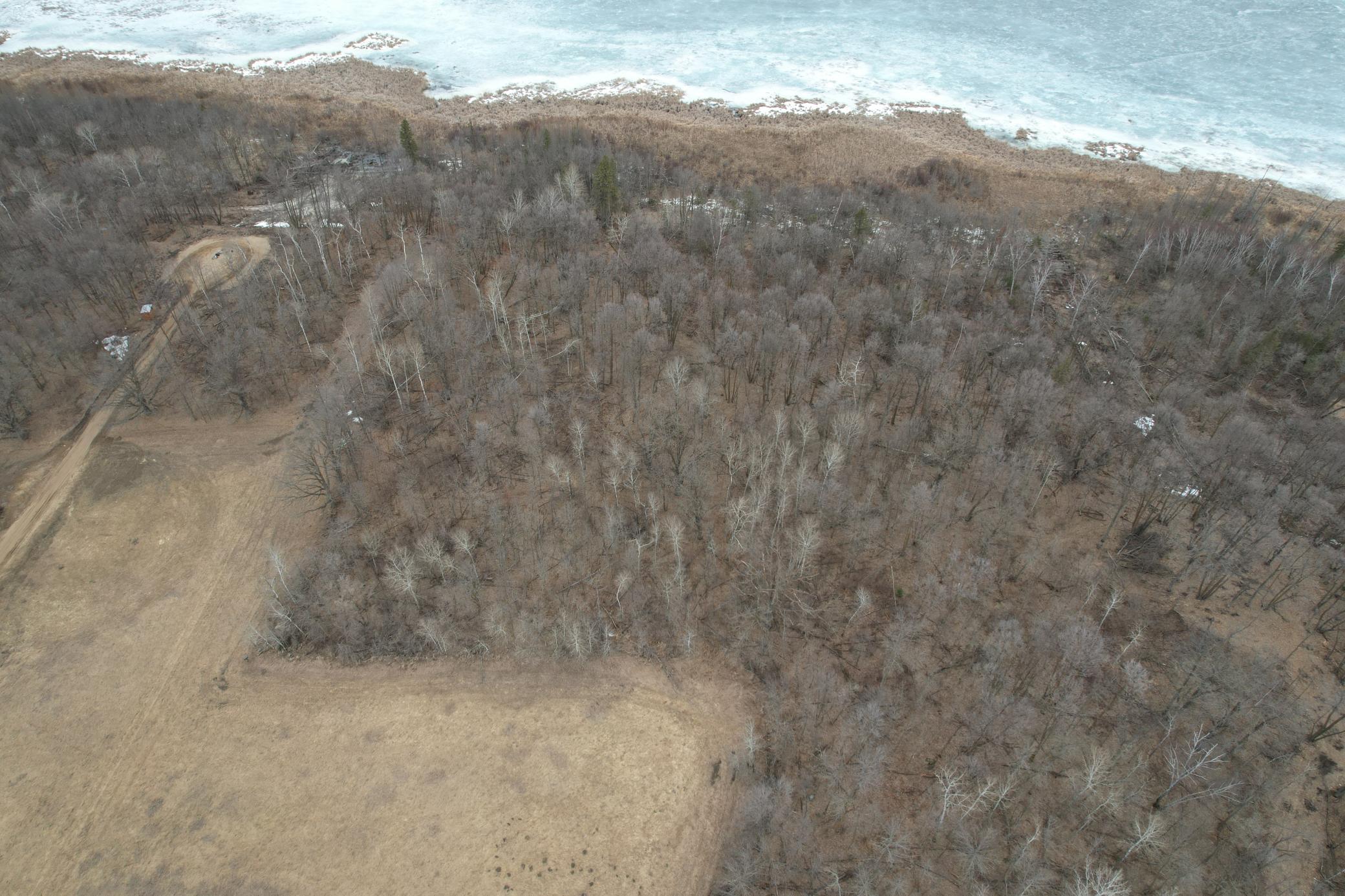 Tbd 460th Street Gonvick, MN 56644 - Photo 5 of 57