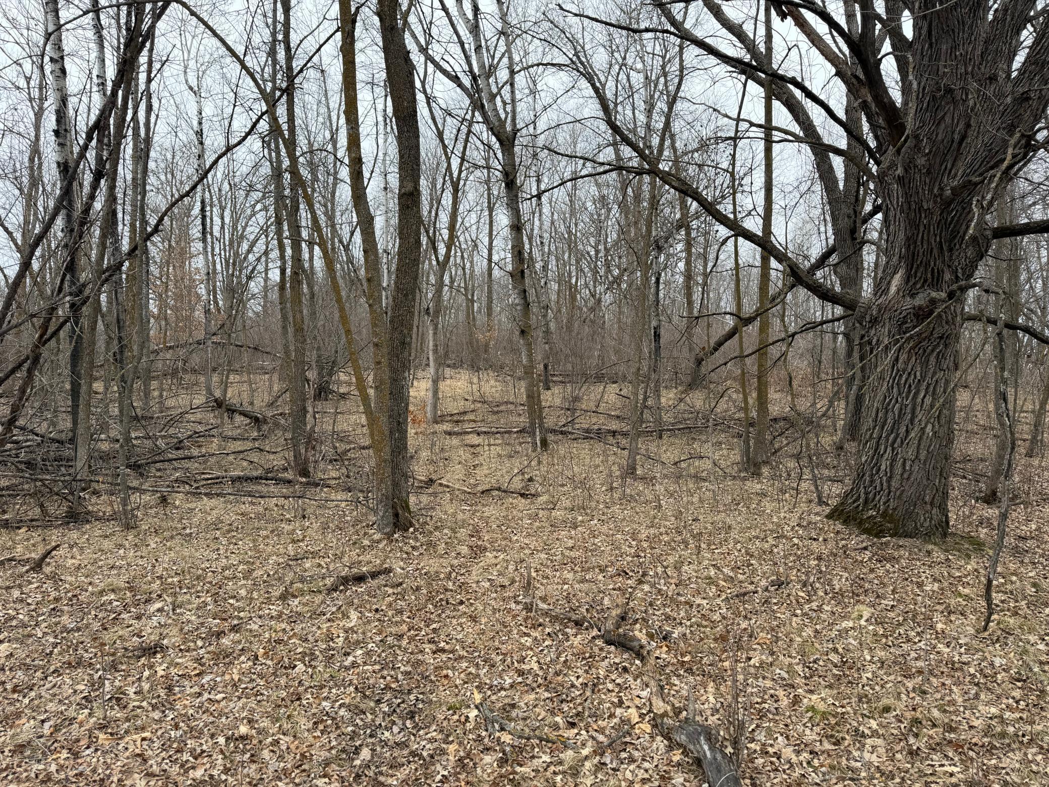 Tbd 460th Street Gonvick, MN 56644 - Photo 52 of 57