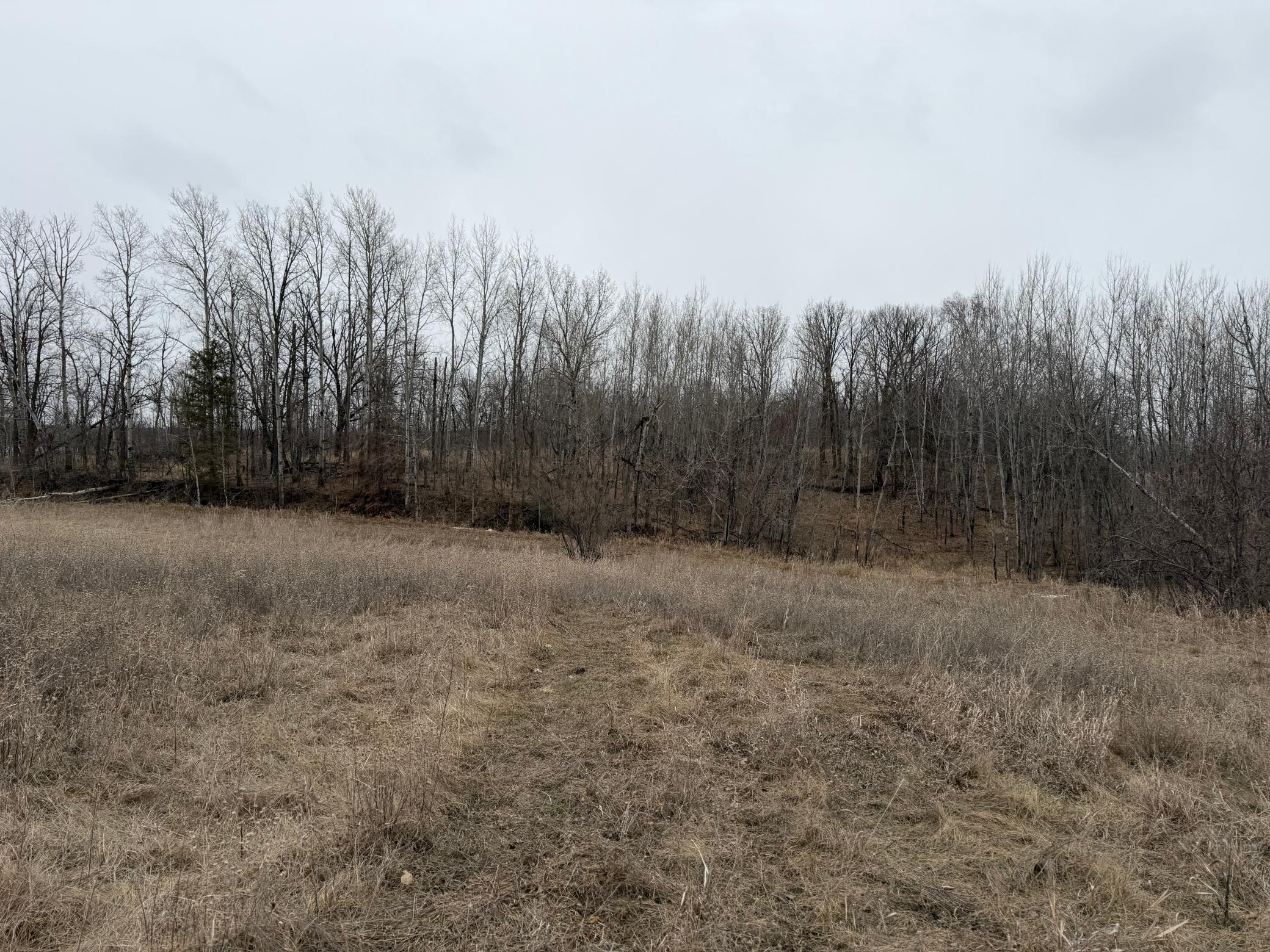 Tbd 460th Street Gonvick, MN 56644 - Photo 53 of 57