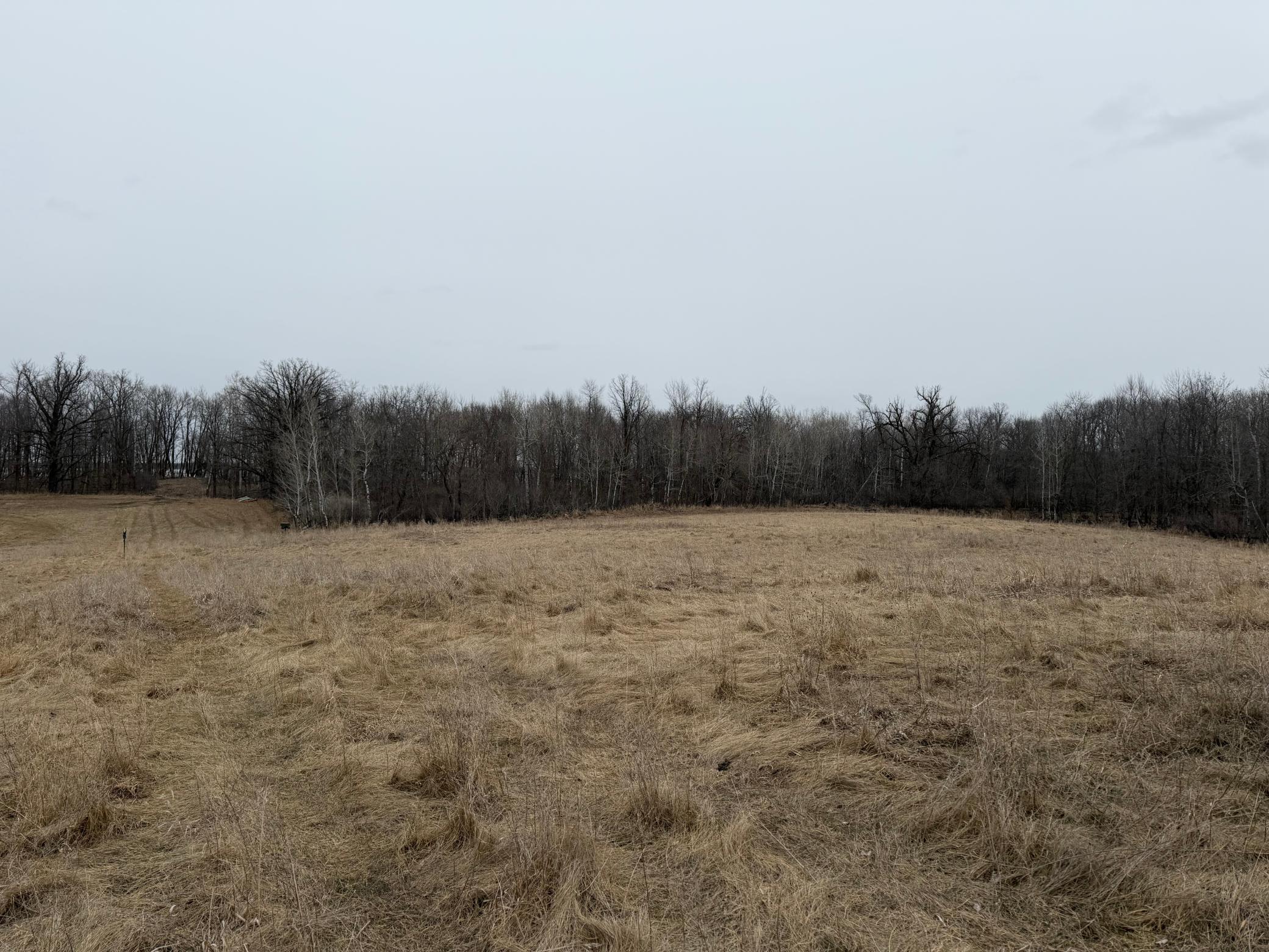 Tbd 460th Street Gonvick, MN 56644 - Photo 54 of 57