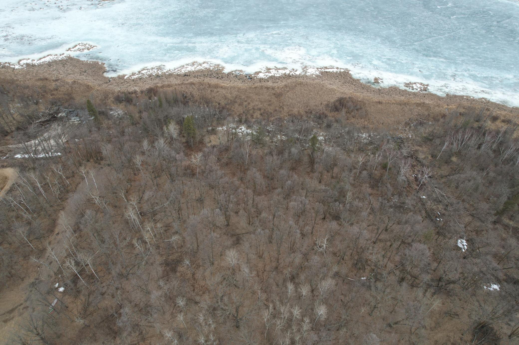 Tbd 460th Street Gonvick, MN 56644 - Photo 6 of 57