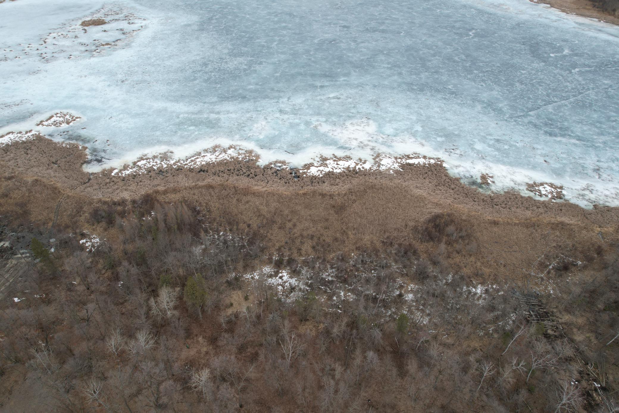 Tbd 460th Street Gonvick, MN 56644 - Photo 7 of 57