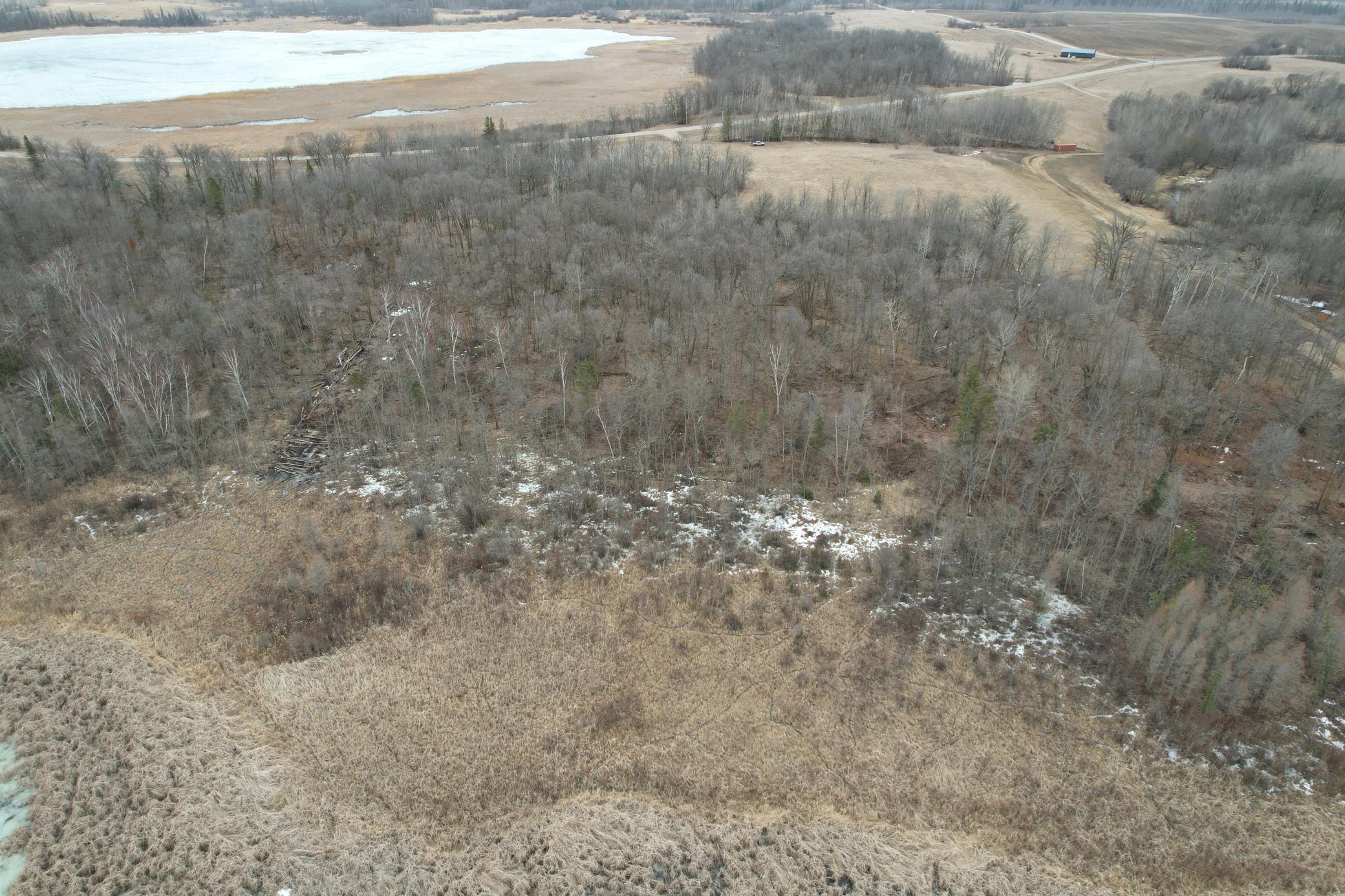 Tbd 460th Street Gonvick, MN 56644 - Photo 9 of 57