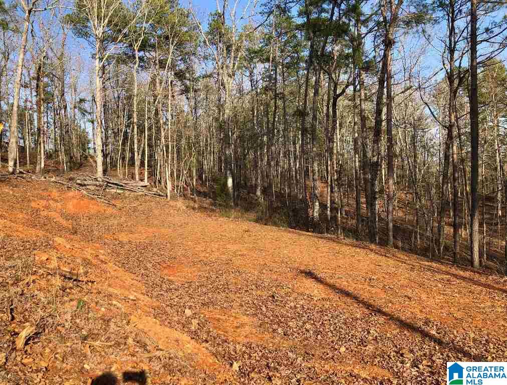 Rock Creek Road, Unit 11 Wedowee, AL 36278 - Photo 2 of 5