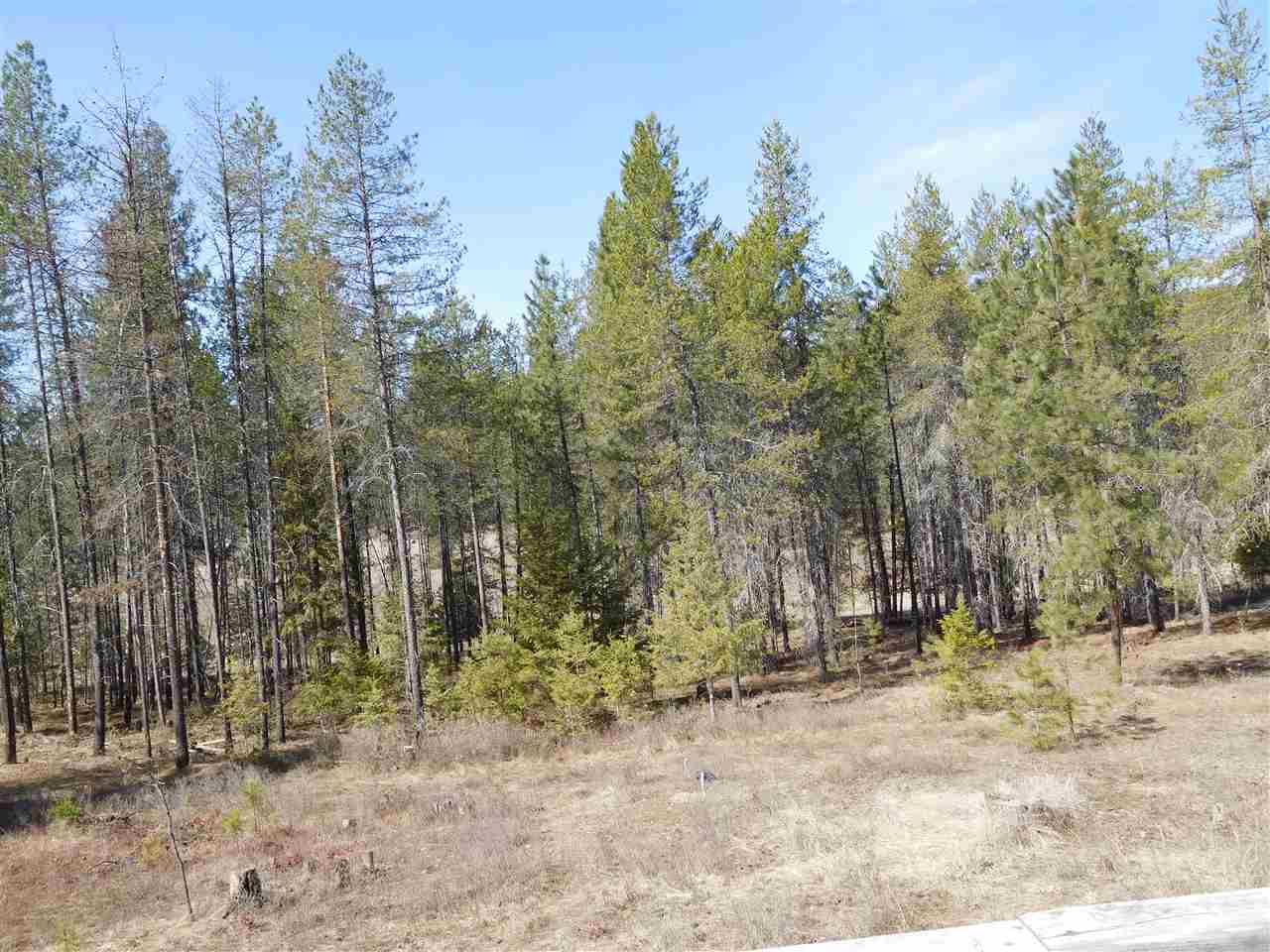 3355 Beitey Road Valley, WA 99181 - Photo 15 of 15