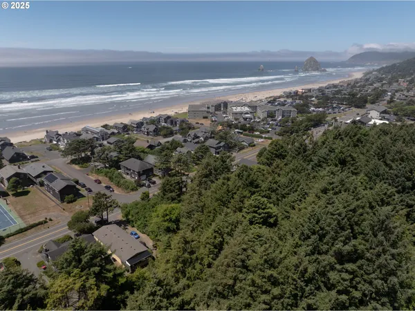 aerial view of a house with a garden