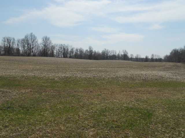 3502 York Road Southwest Pataskala, OH 43062 - Photo 4 of 4