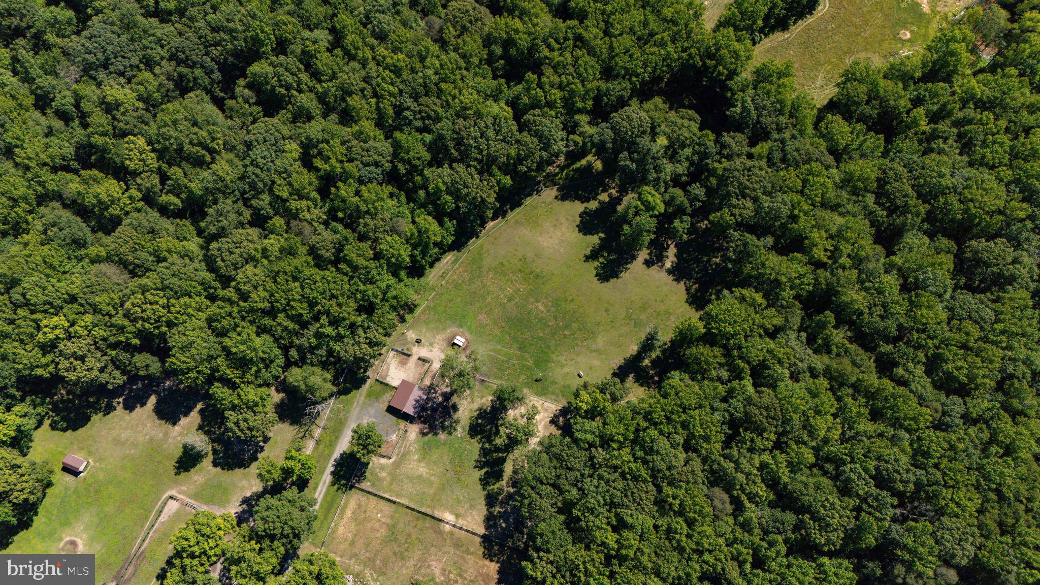 99 East Lewis Shore Road Elkton, MD 21921 - Photo 57 of 74