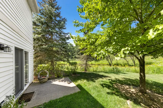 a view of a yard with plants and a large tree