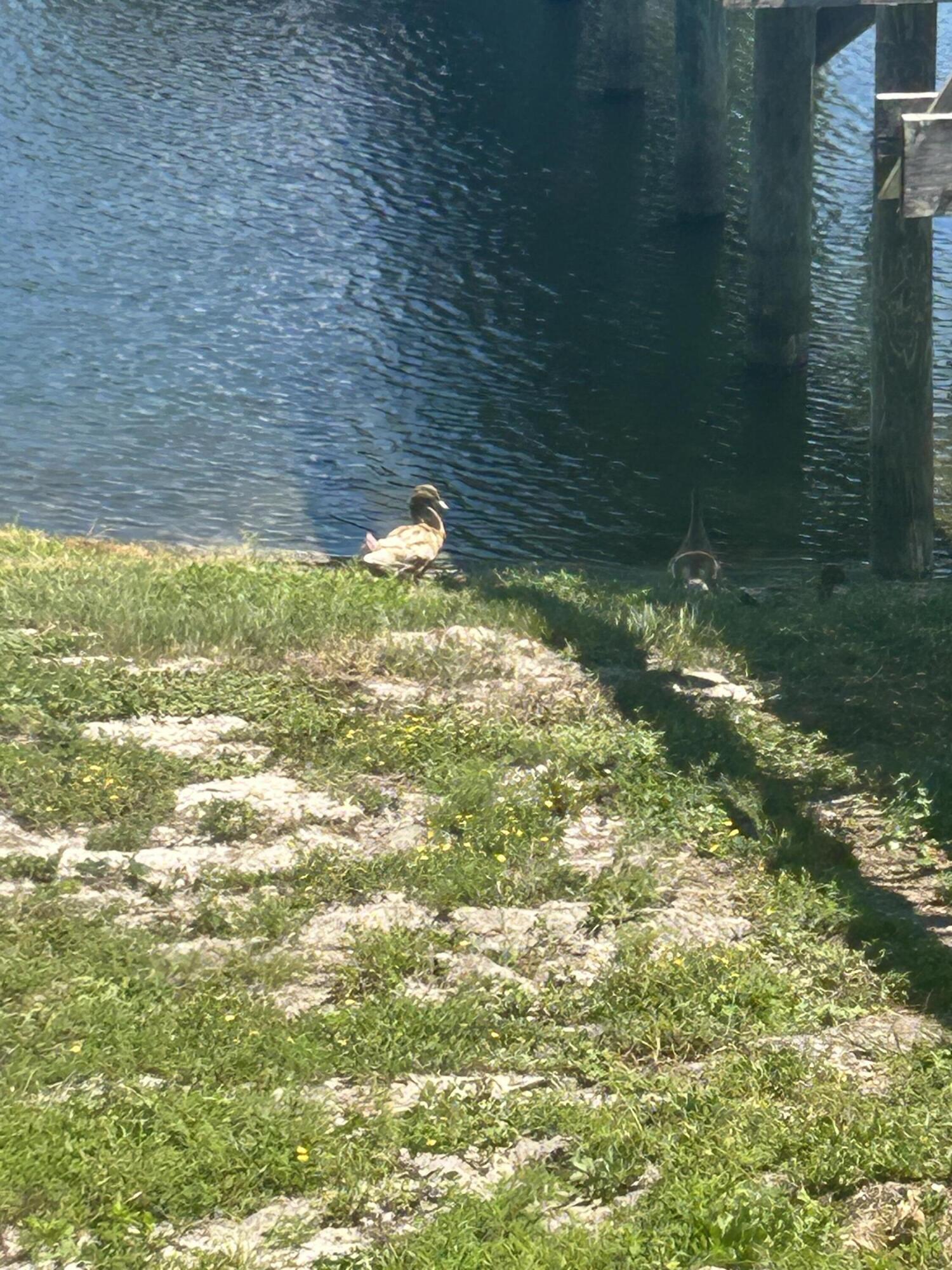 4000 Gulf Terrace Drive, Unit 2008 Destin, FL 32541 - Photo 33 of 35 a view of a lake view