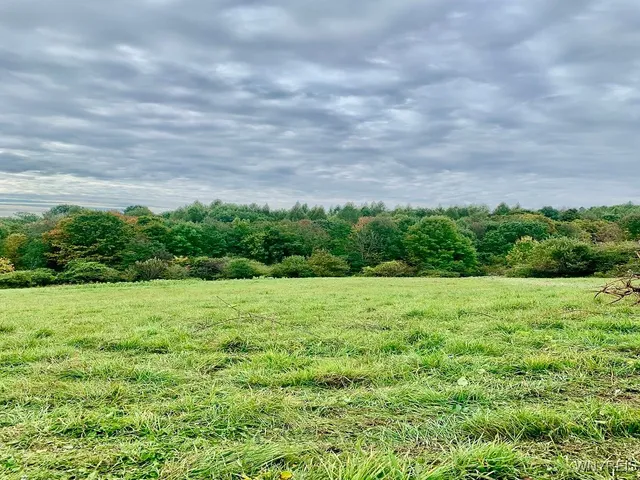 $325,000 | 10473 Handcock Road, Centerville, NY 14735