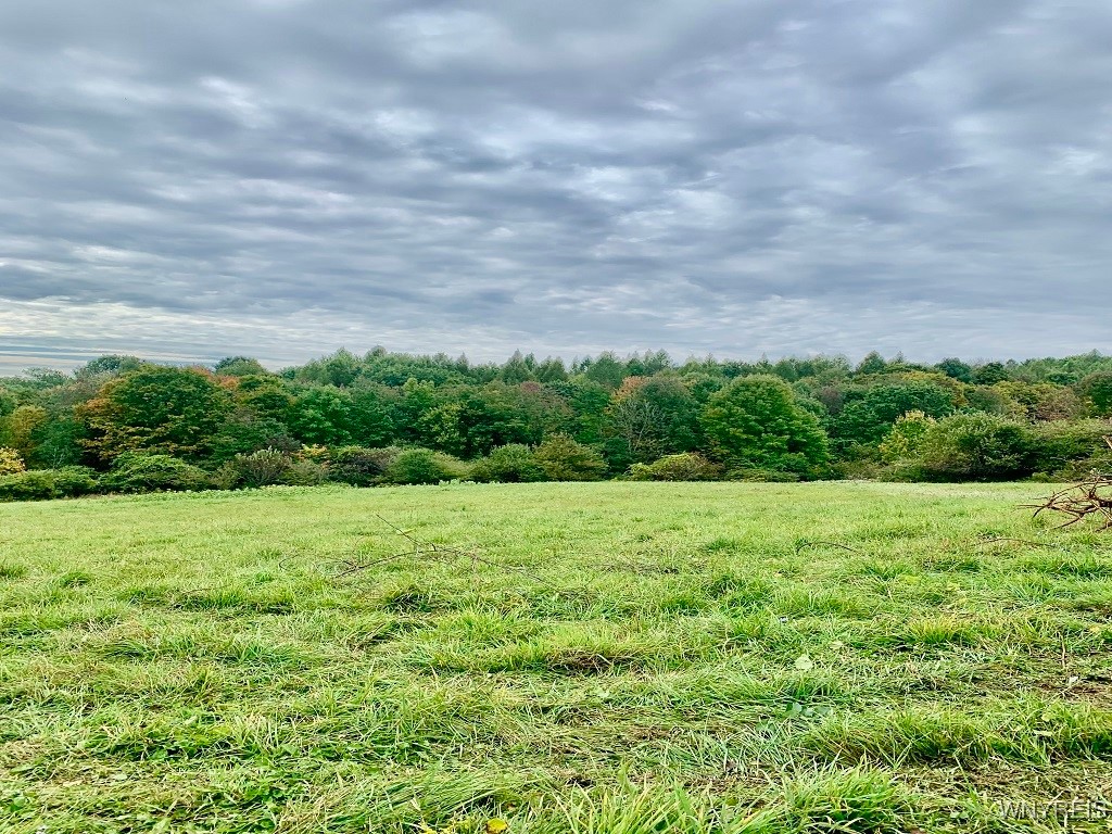 10473 Handcock Road Centerville, NY 14735 - Photo 33 of 34