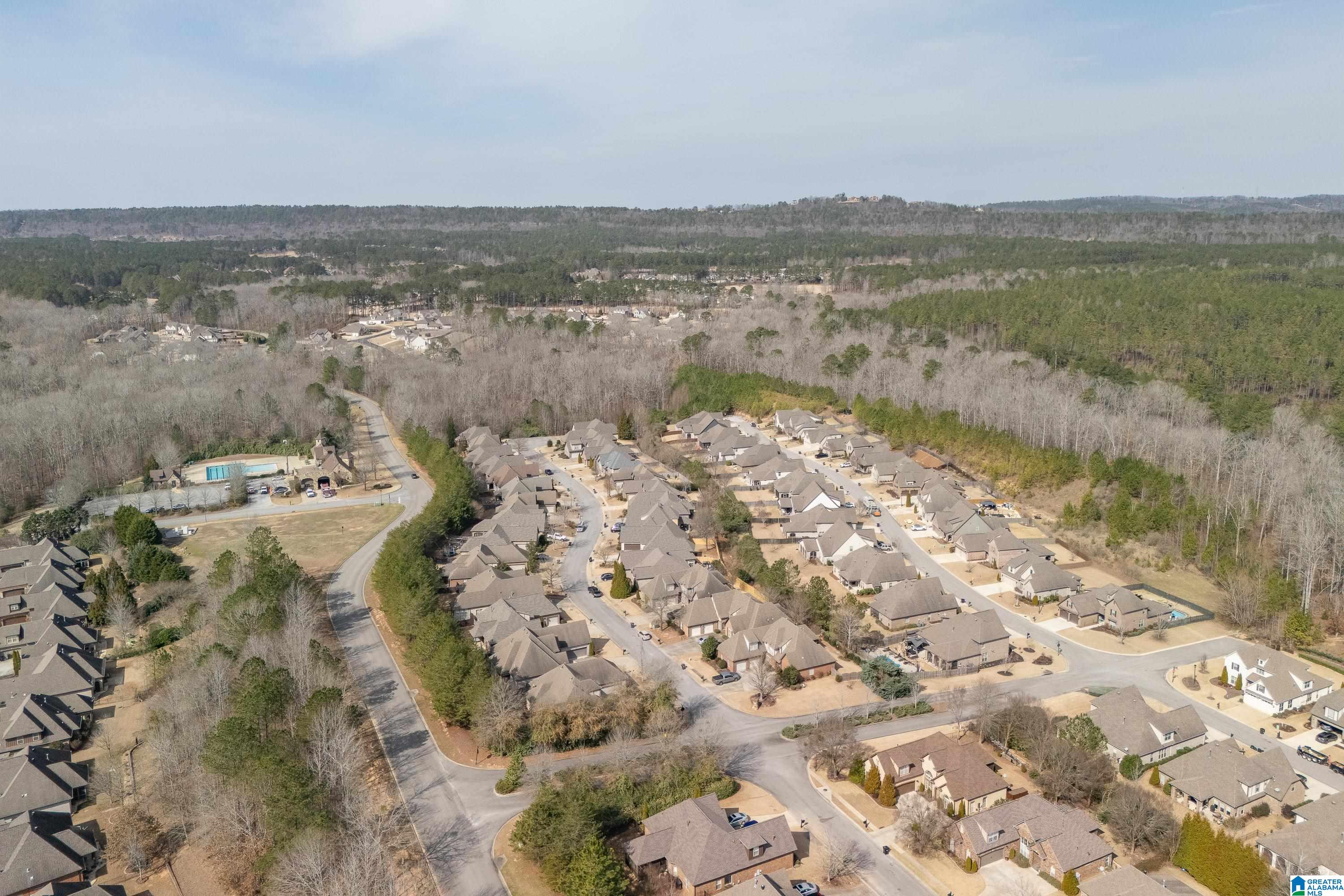 347 Strathaven Circle Pelham, AL 35124 - Photo 41 of 51