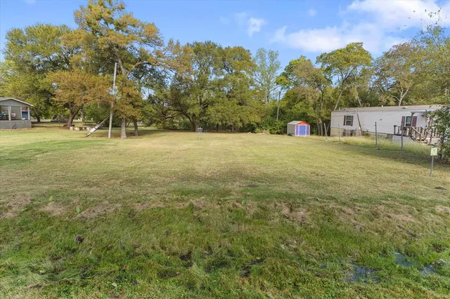 a view of a field with a tree