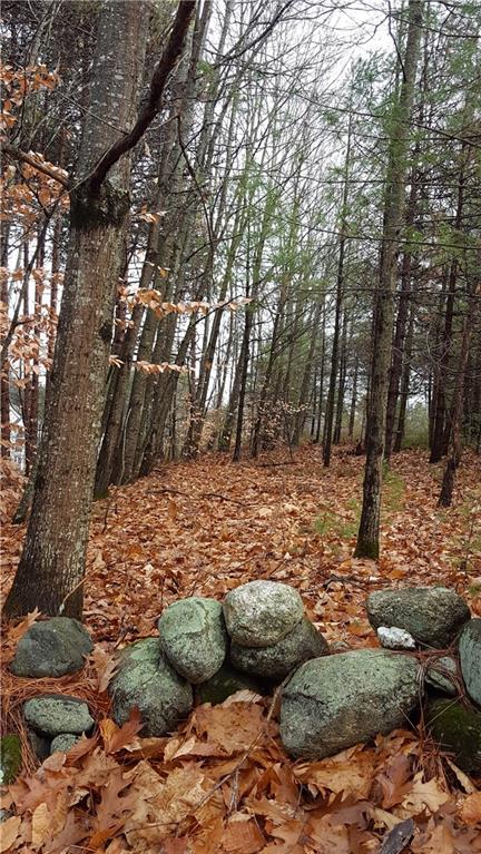 0 Gray Road North Yarmouth, ME 04097 - Photo 6 of 7 Photo