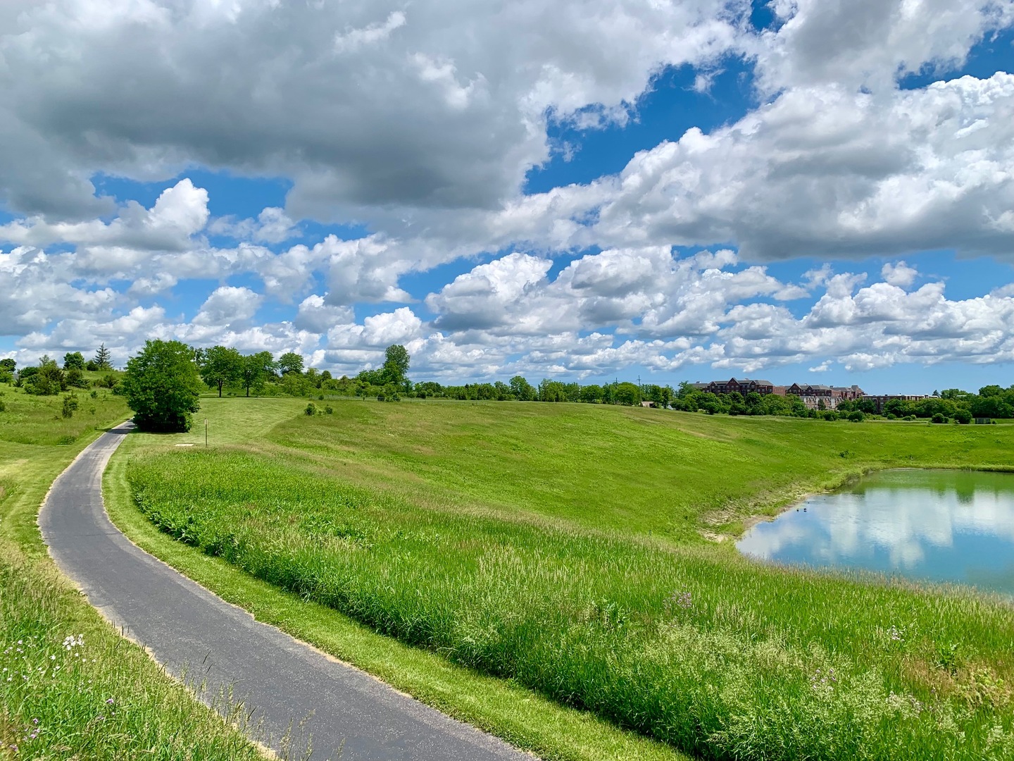 77 North Quentin Road, Unit 207 Palatine, IL 60067 - Photo 4 of 6