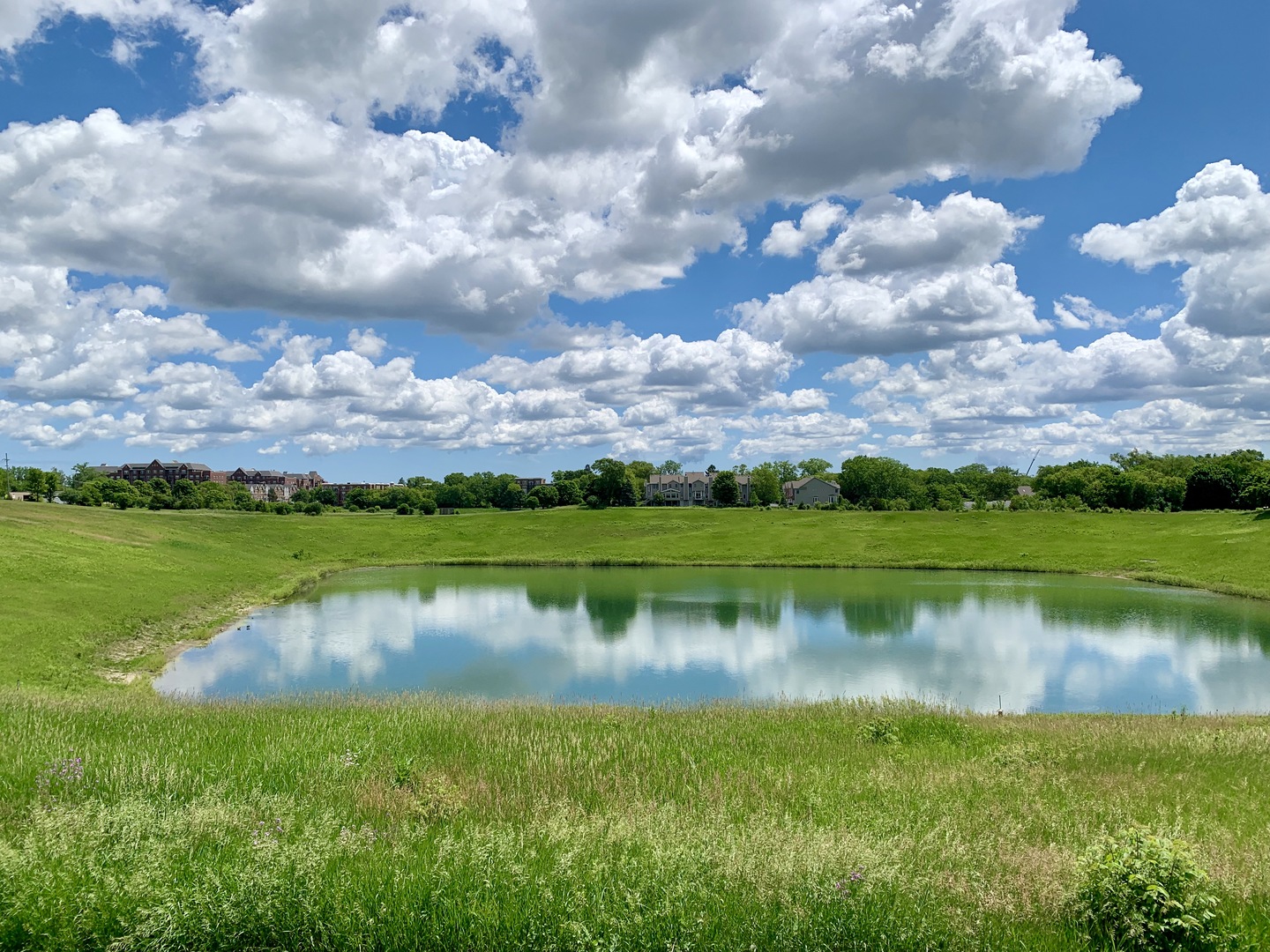 77 North Quentin Road, Unit 207 Palatine, IL 60067 - Photo 5 of 6