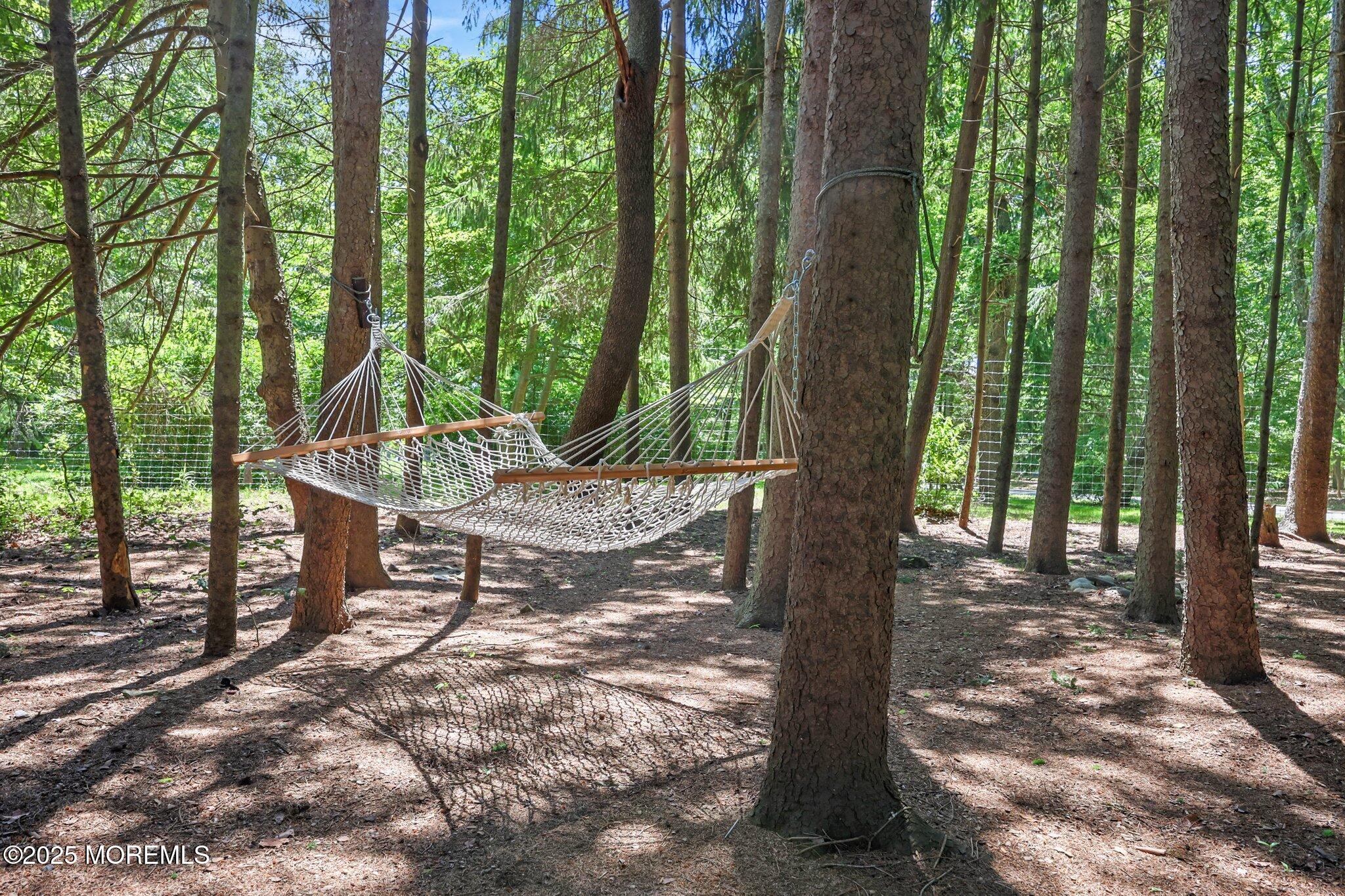 164 Lemon Road Farmingdale, NJ 07727 - Photo 34 of 44 70-web-or-mls-LPM_2157