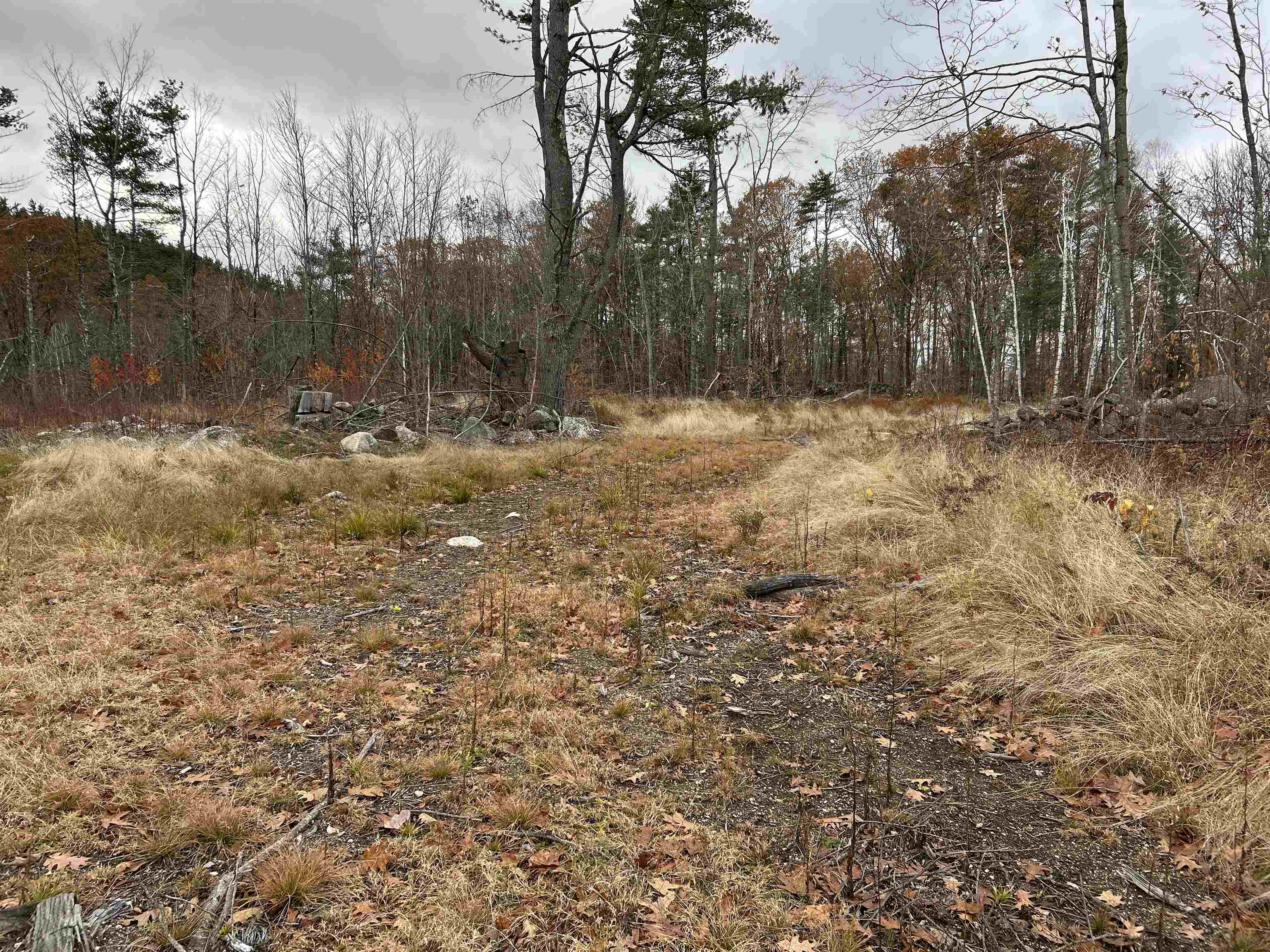 0 Pound Road North North Sutton, NH 03260 - Photo 9 of 51