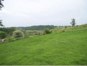 245 Leesburg Road Telford, TN 37690 - Photo 5 of 5 Photo 5