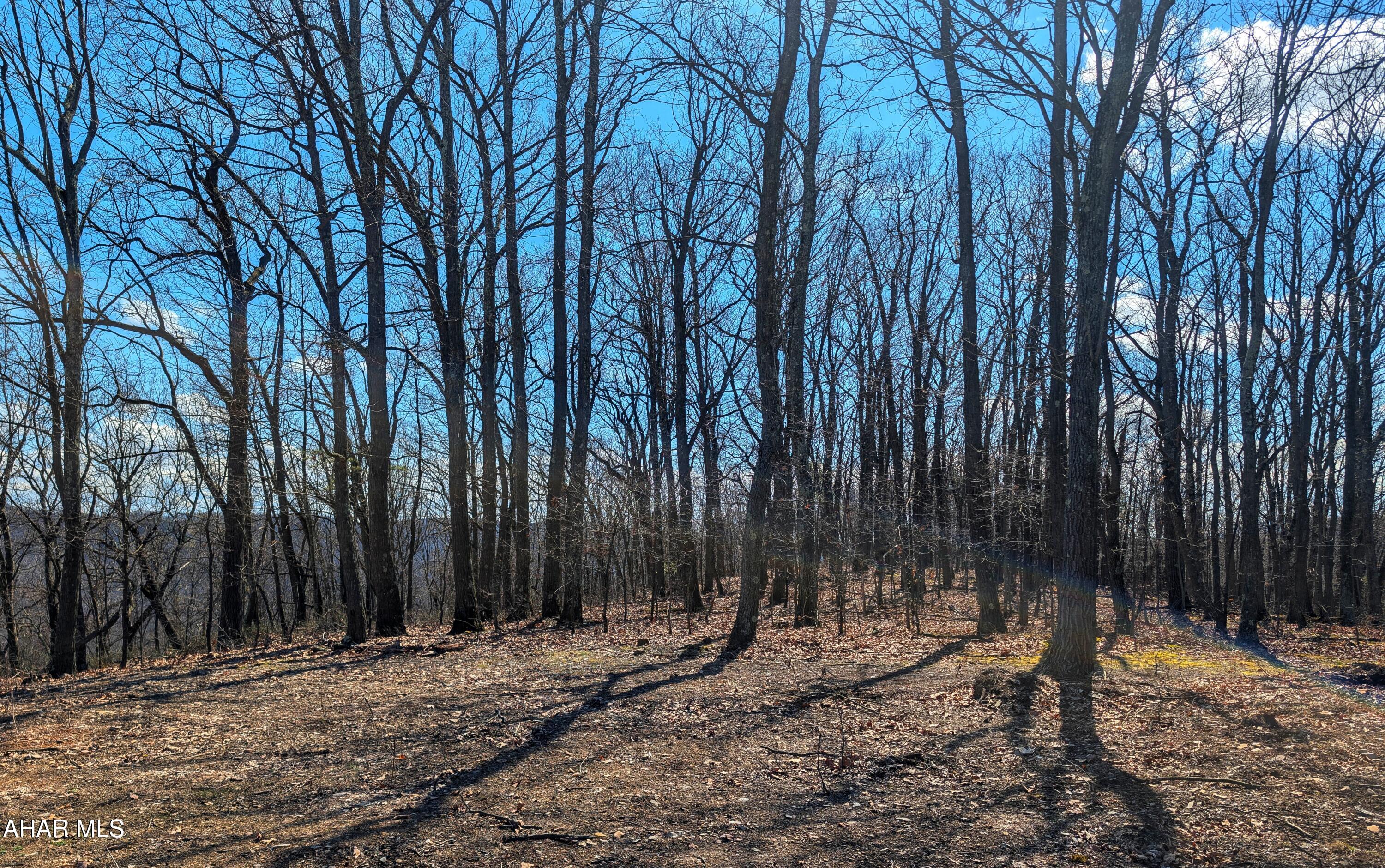 0 Pine Ridge Road Saxton, PA 16678 - Photo 19 of 23