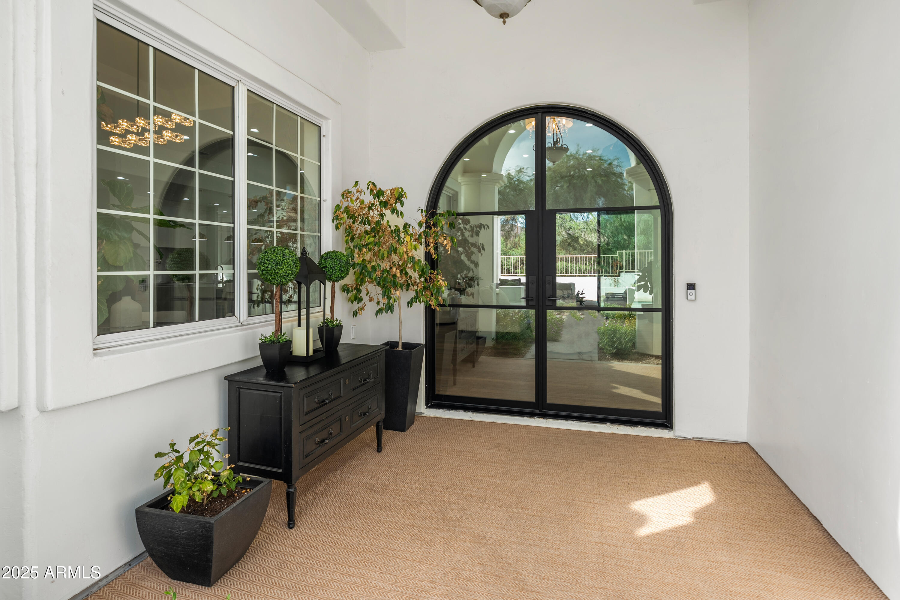 a view of a potted plant in front of a door