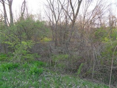 Maner Road Benton Harbor, MI 49022 - Photo 1 of 1 MANER RD