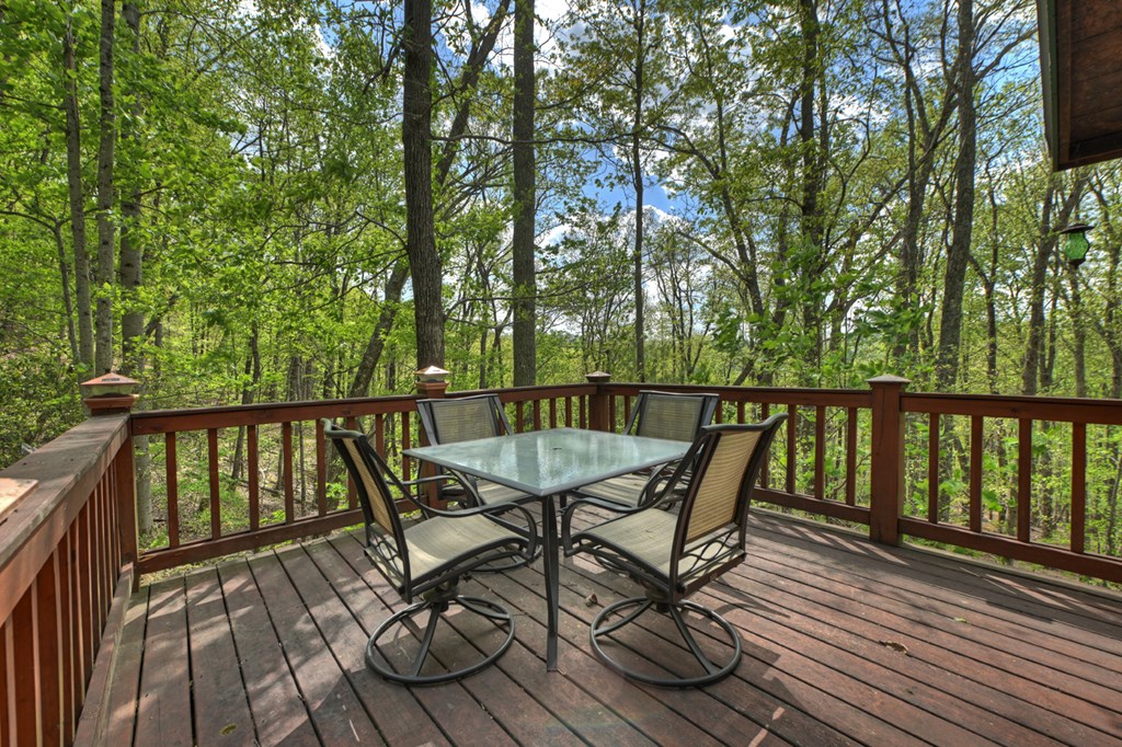 660 Ripshin Mountain Road Blue Ridge, GA 30513 - Photo 21 of 40