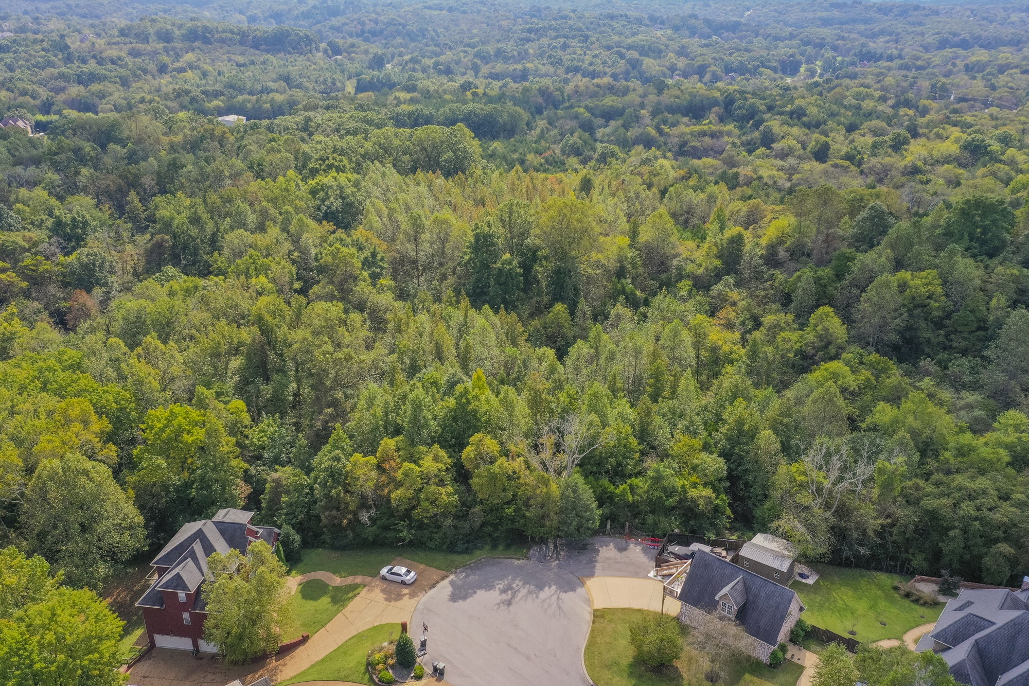 0 Needmore Road Old Hickory, TN 37138 - Photo 2 of 13 Gallery Image 2