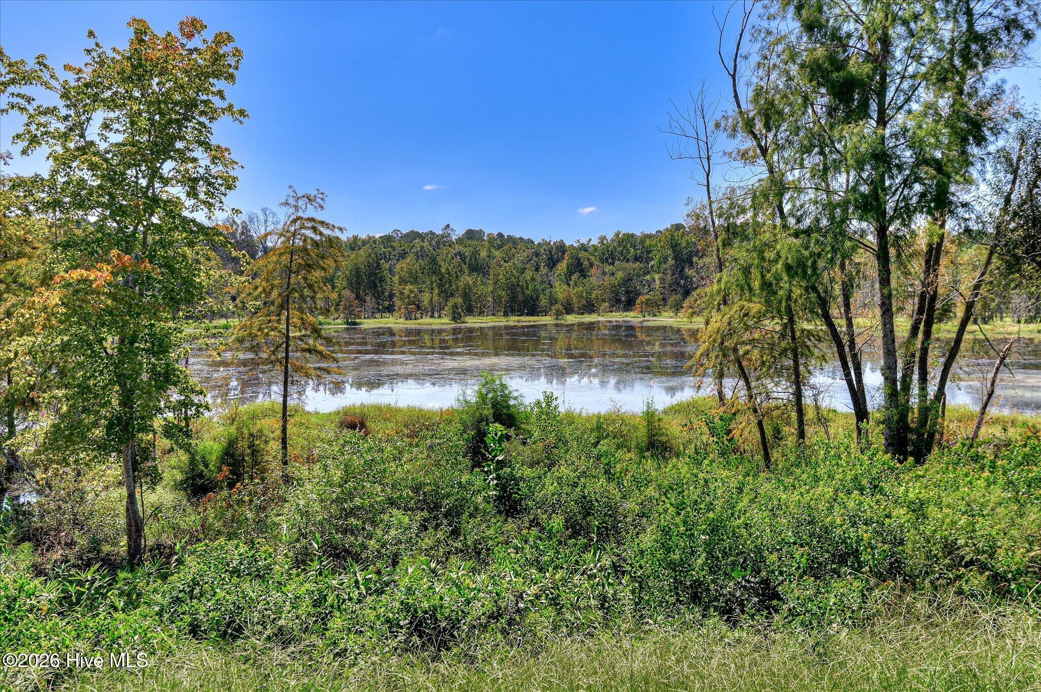 657 Whitney Shls Road Evans, GA 30809 - Photo 70 of 89 Gallery Image 70