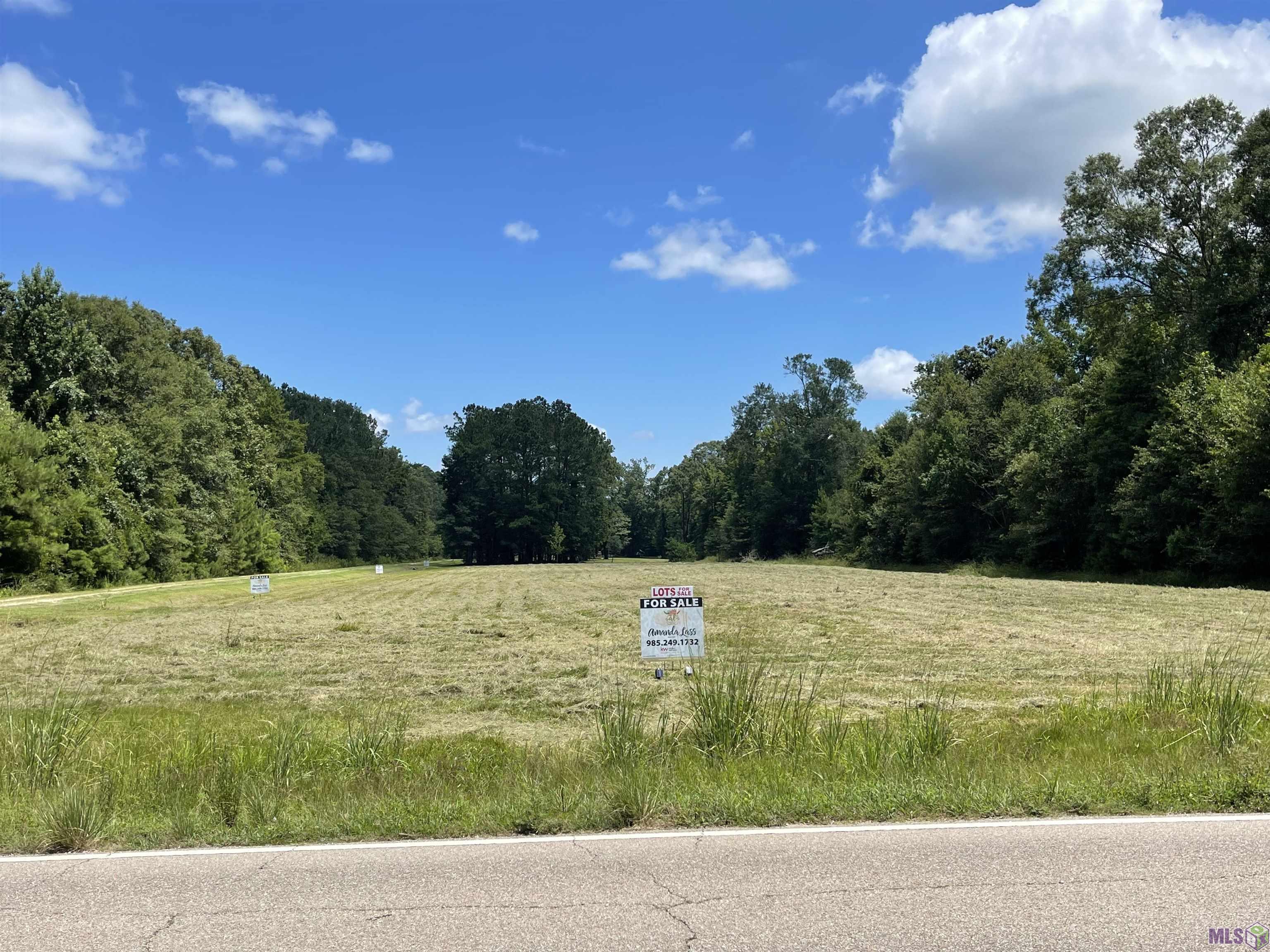 Tract Rt-1 Cane Market Road Walker, LA 70785 - Photo 1 of 5 Gallery Image 1