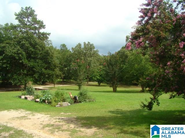 1661 Roy Webb Cutoff Road Piedmont, AL 36272 - Photo 38 of 41
