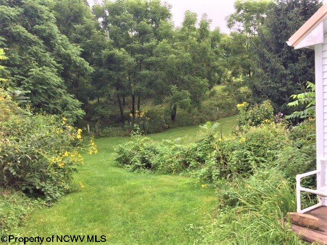 2937 Yorks Run Road Newburg, WV 26410 - Photo 15 of 17 Gallery Image 15