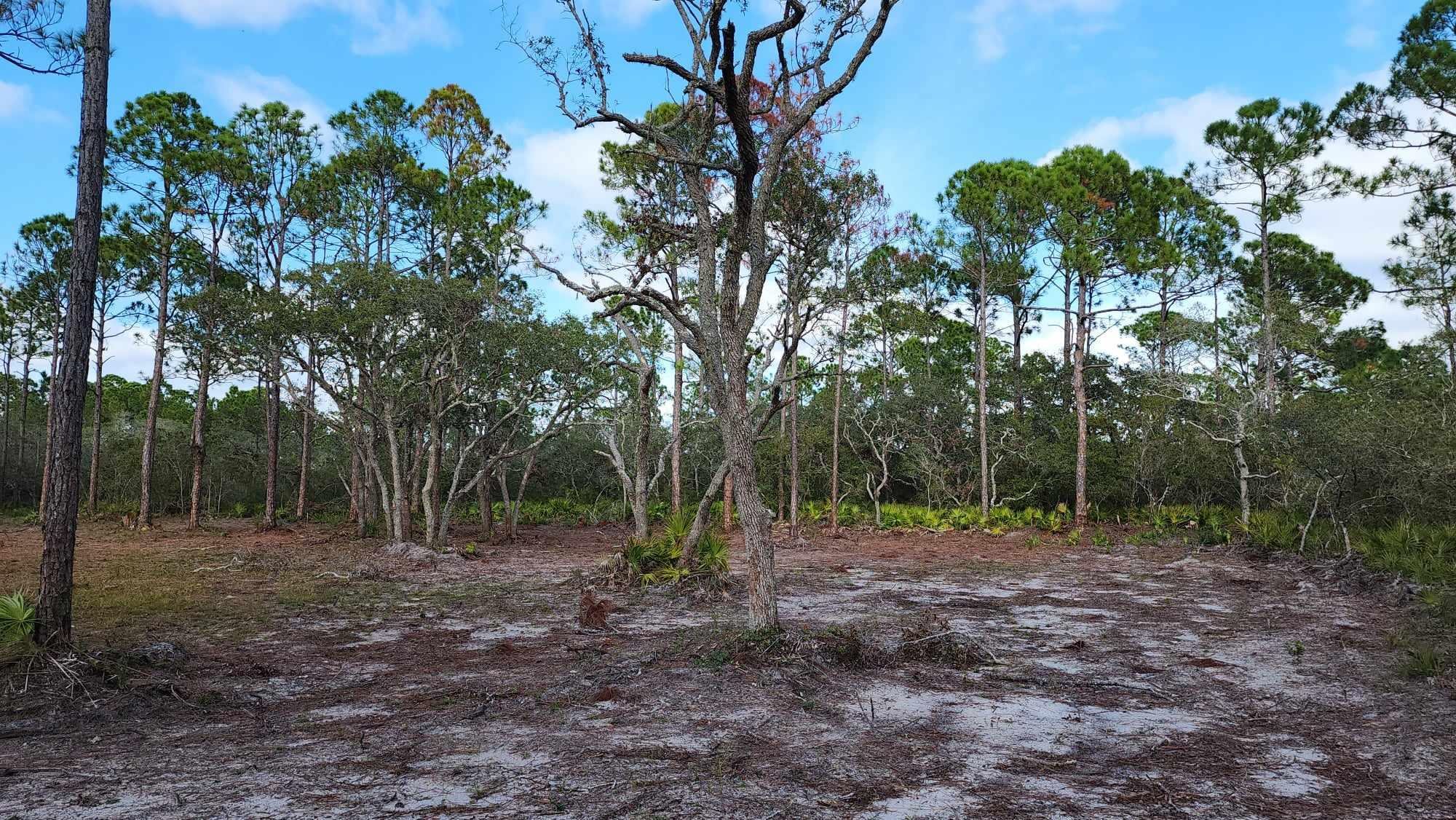 Tbd Yates Creek Road, Unit 2 Perry, FL 32348 - Photo 11 of 16 Gallery Image 11