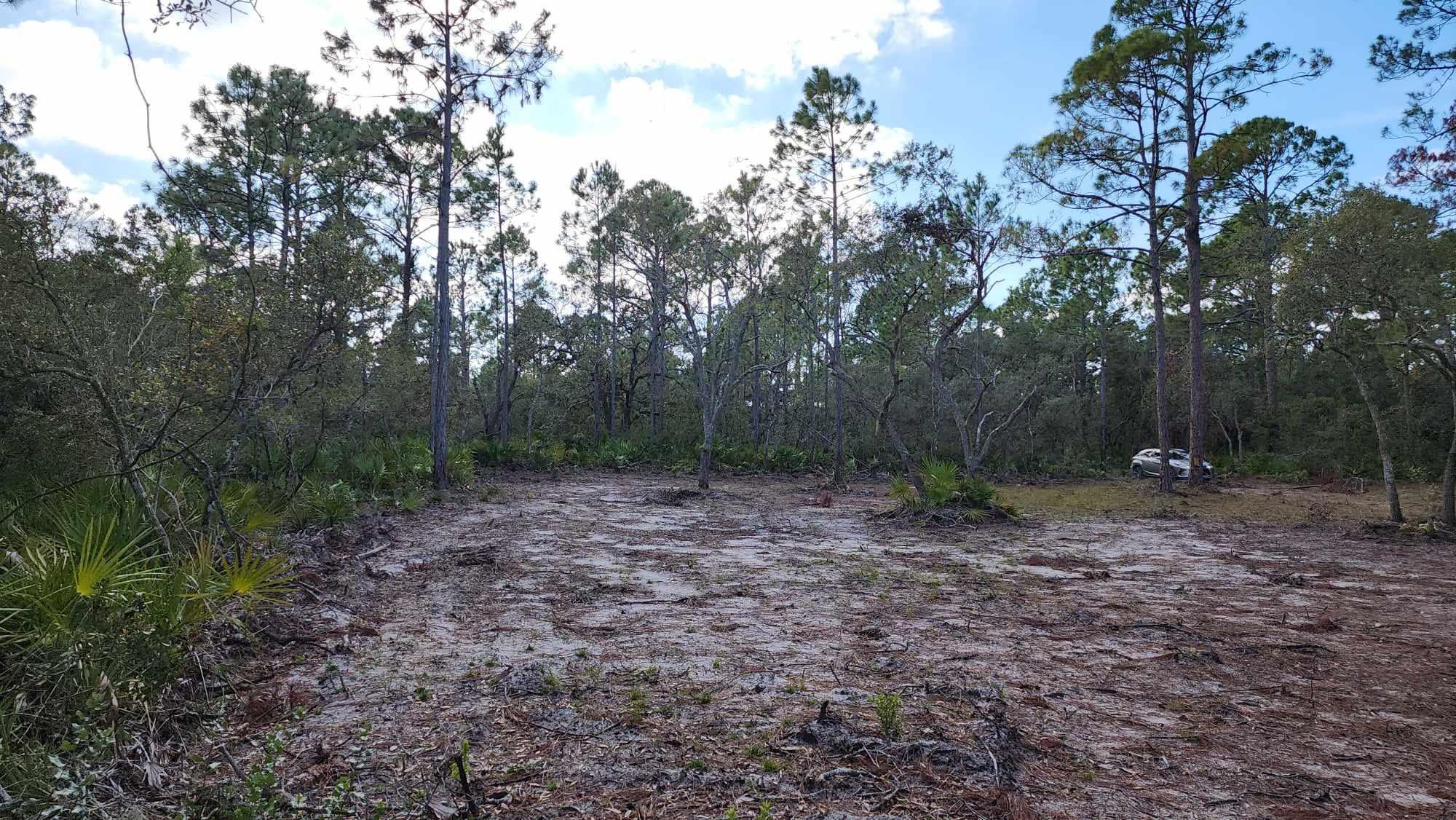 Tbd Yates Creek Road, Unit 2 Perry, FL 32348 - Photo 13 of 16 Gallery Image 13