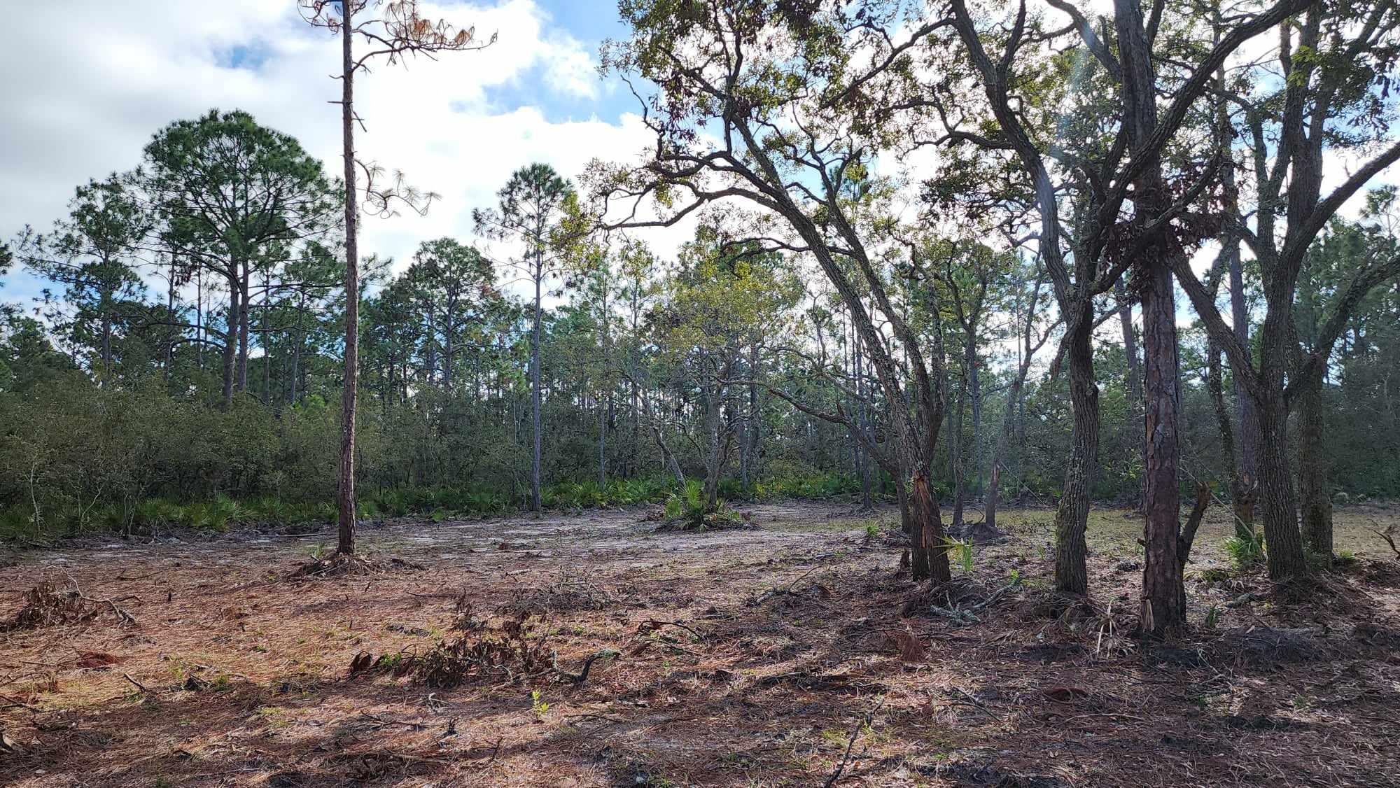 Tbd Yates Creek Road, Unit 2 Perry, FL 32348 - Photo 15 of 16 Gallery Image 15