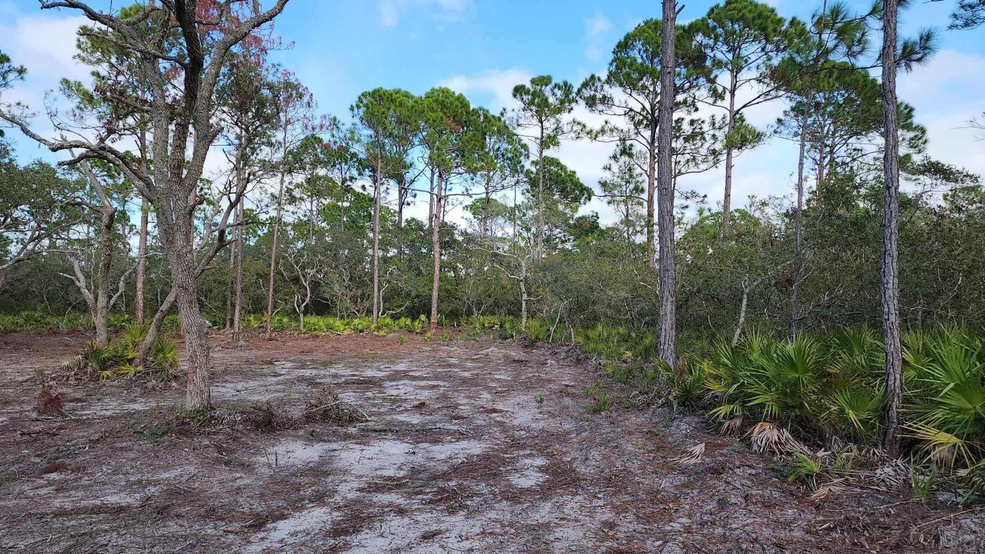 Tbd Yates Creek Road, Unit 2 Perry, FL 32348 - Photo 10 of 16 Gallery Image 10