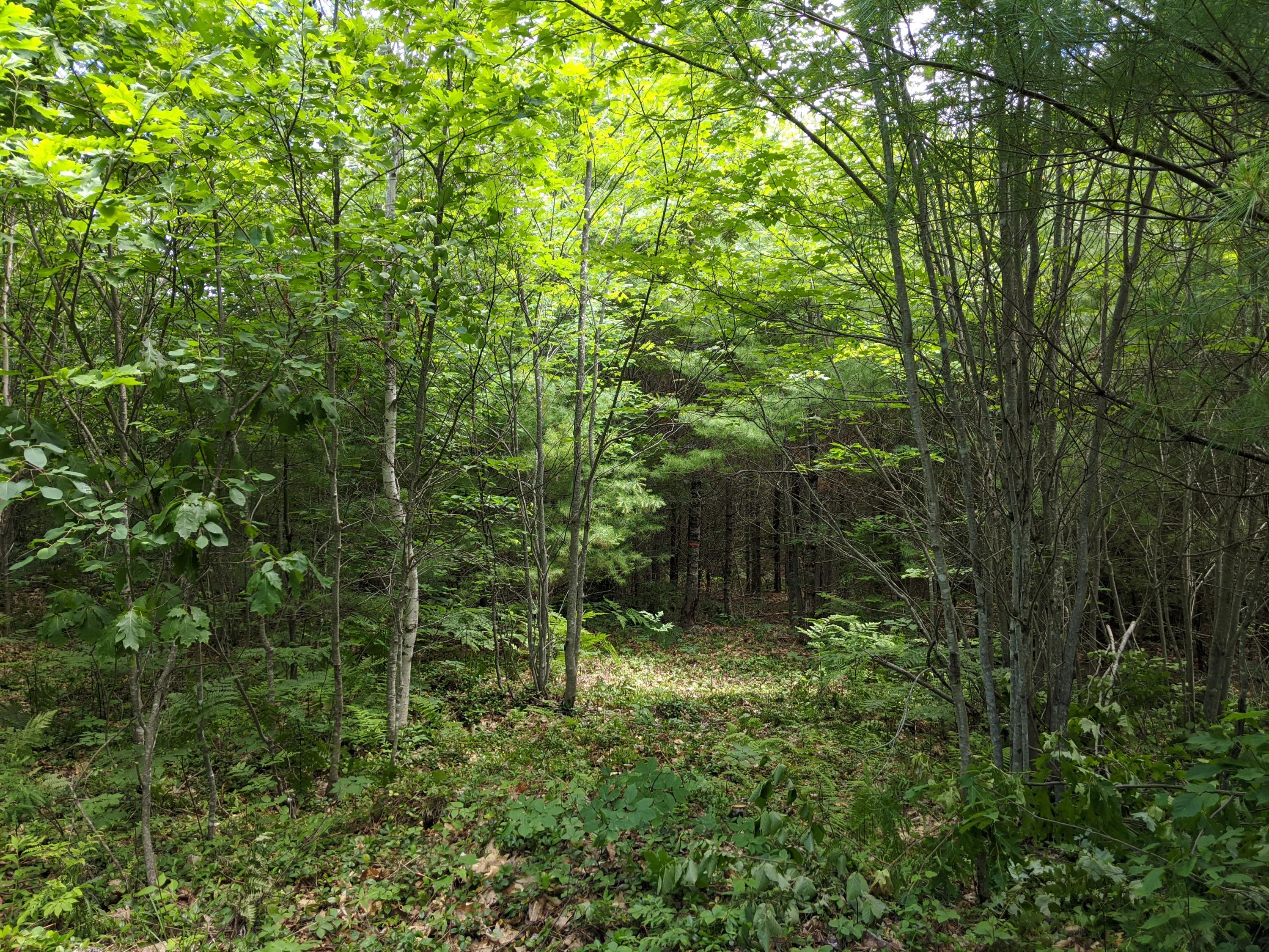 0 South Colby Road Somerville, ME 04348 - Photo 17 of 18 IMG_20200706_125431