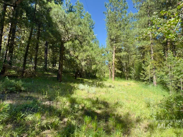 $110,000 | 18-20 Shady Pine Way, Cascade, ID 83611