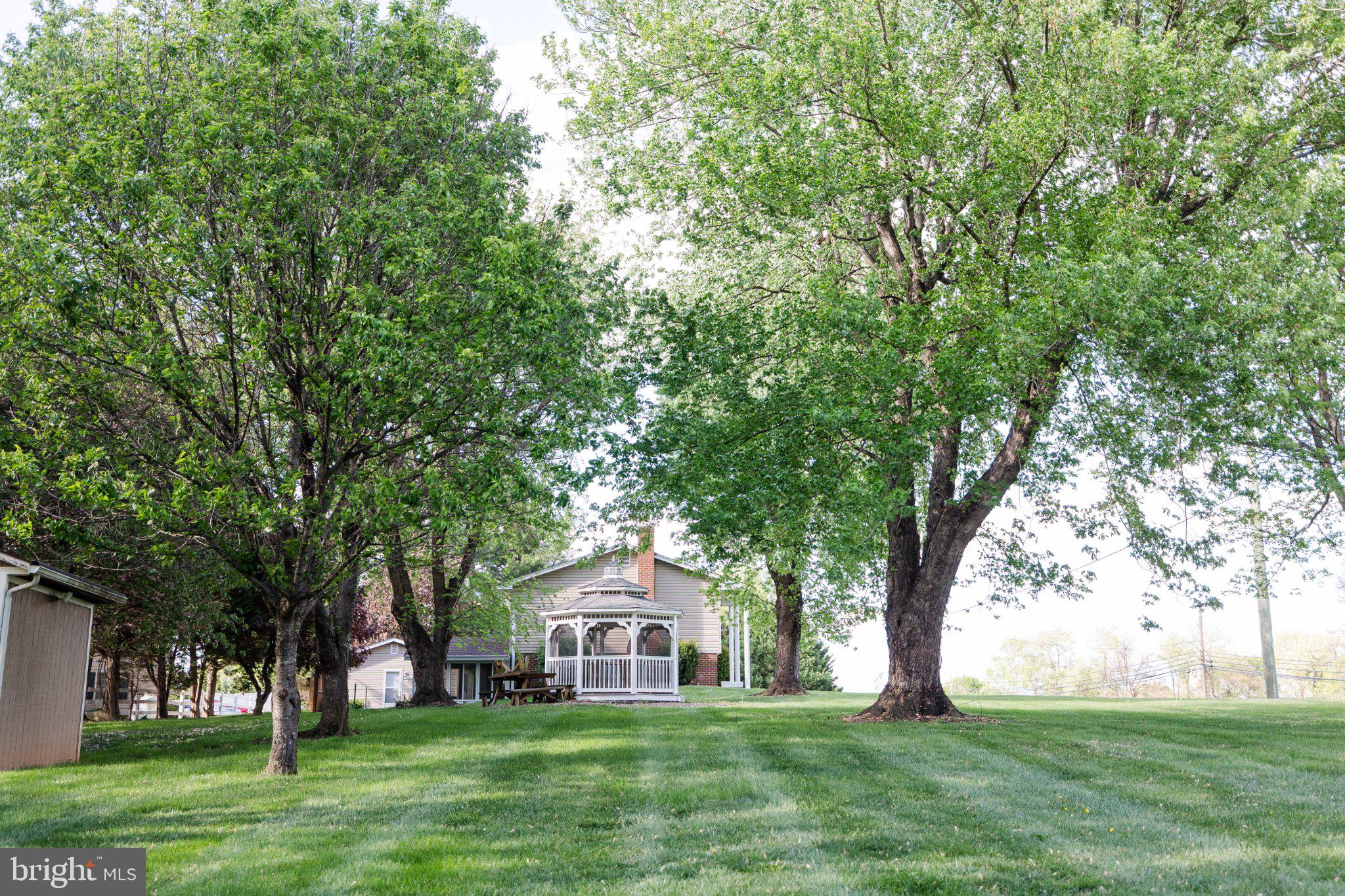 11307 Treeview Lane Monrovia, MD 21770 - Photo 111 of 116