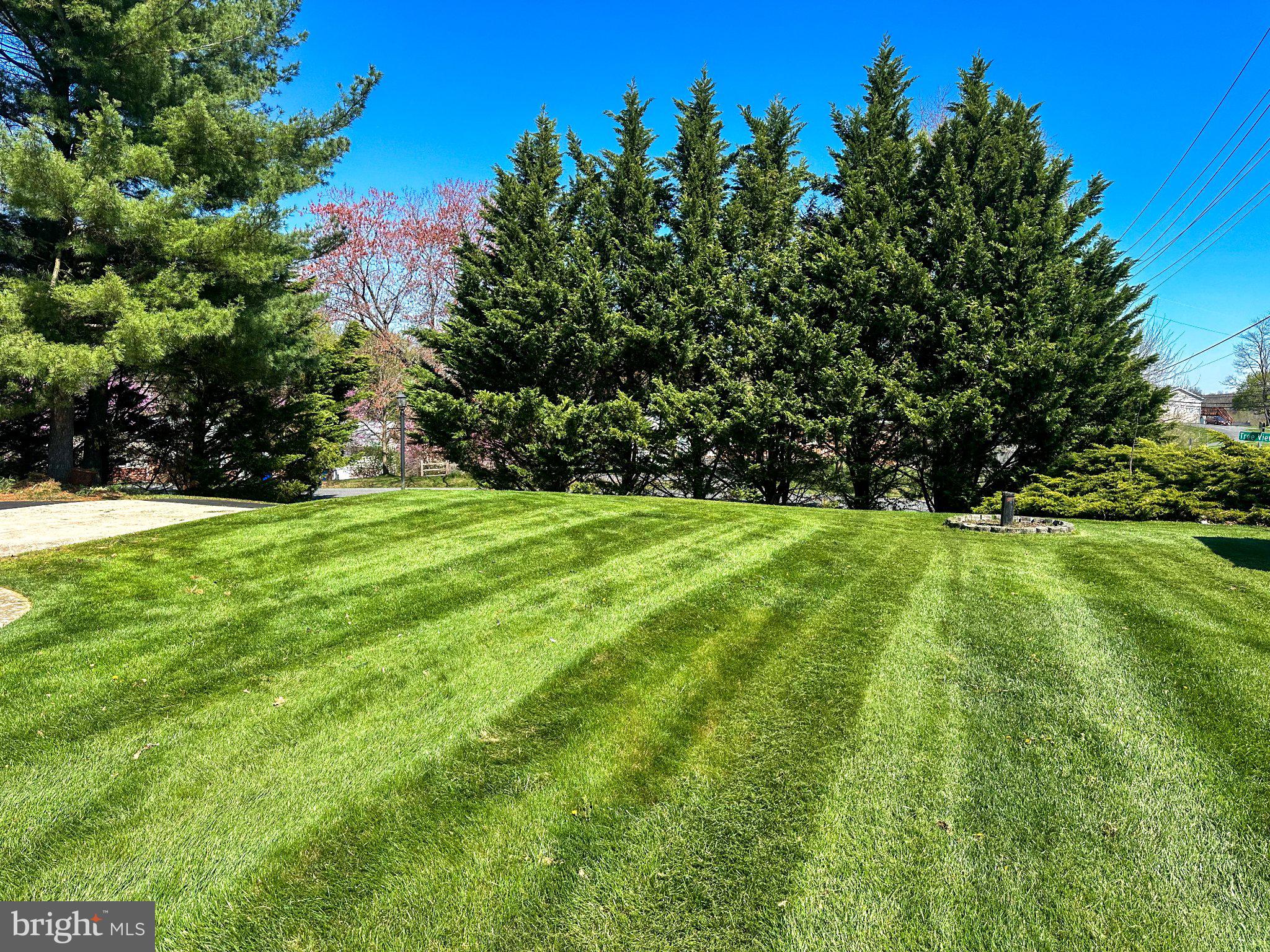 11307 Treeview Lane Monrovia, MD 21770 - Photo 54 of 63 a view of green field with trees in the background
