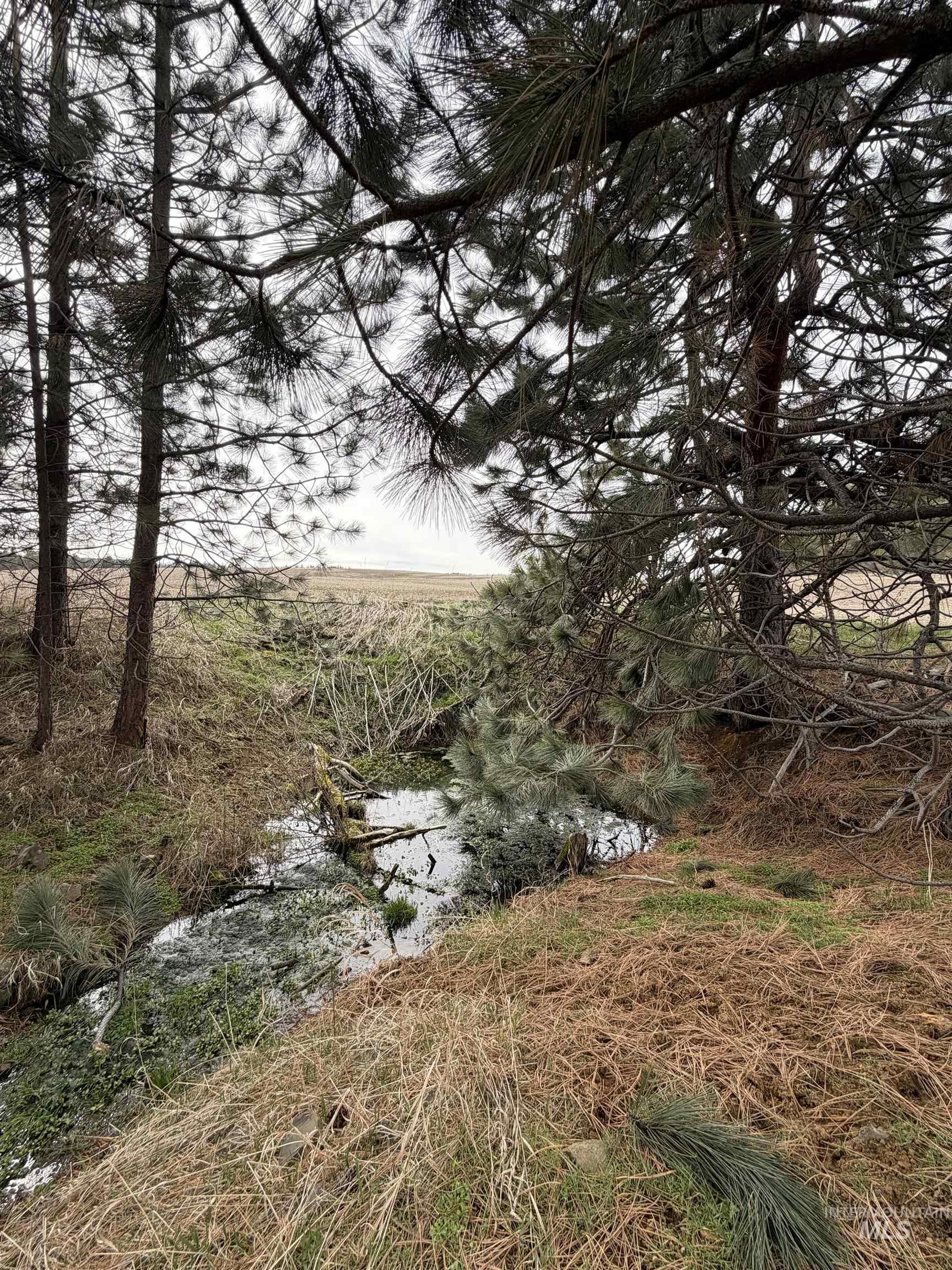 View of nature