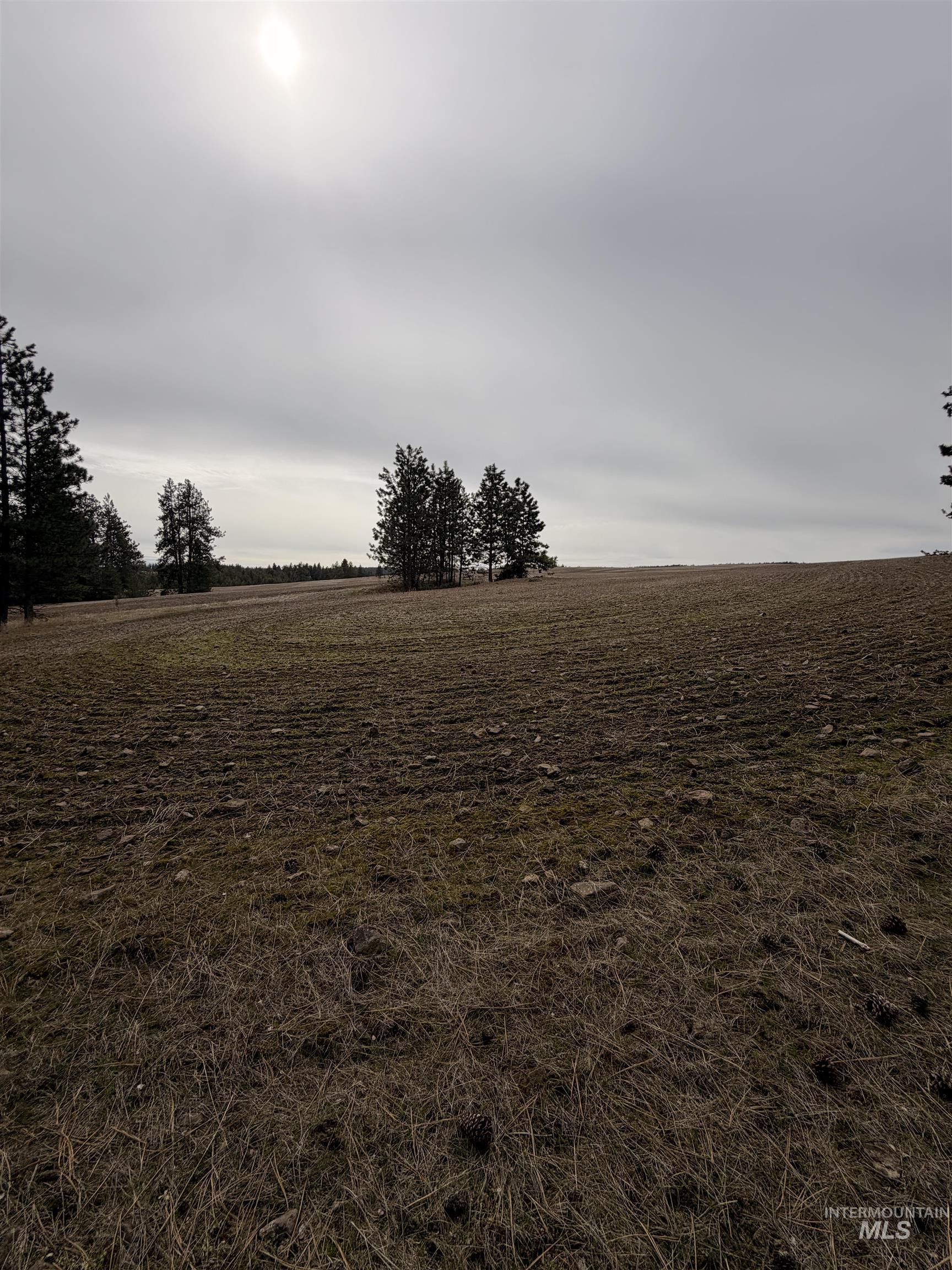 Tbd Sandhill Road Winchester, ID 83555 - Photo 21 of 25 View of undeveloped land featuring rural landscape