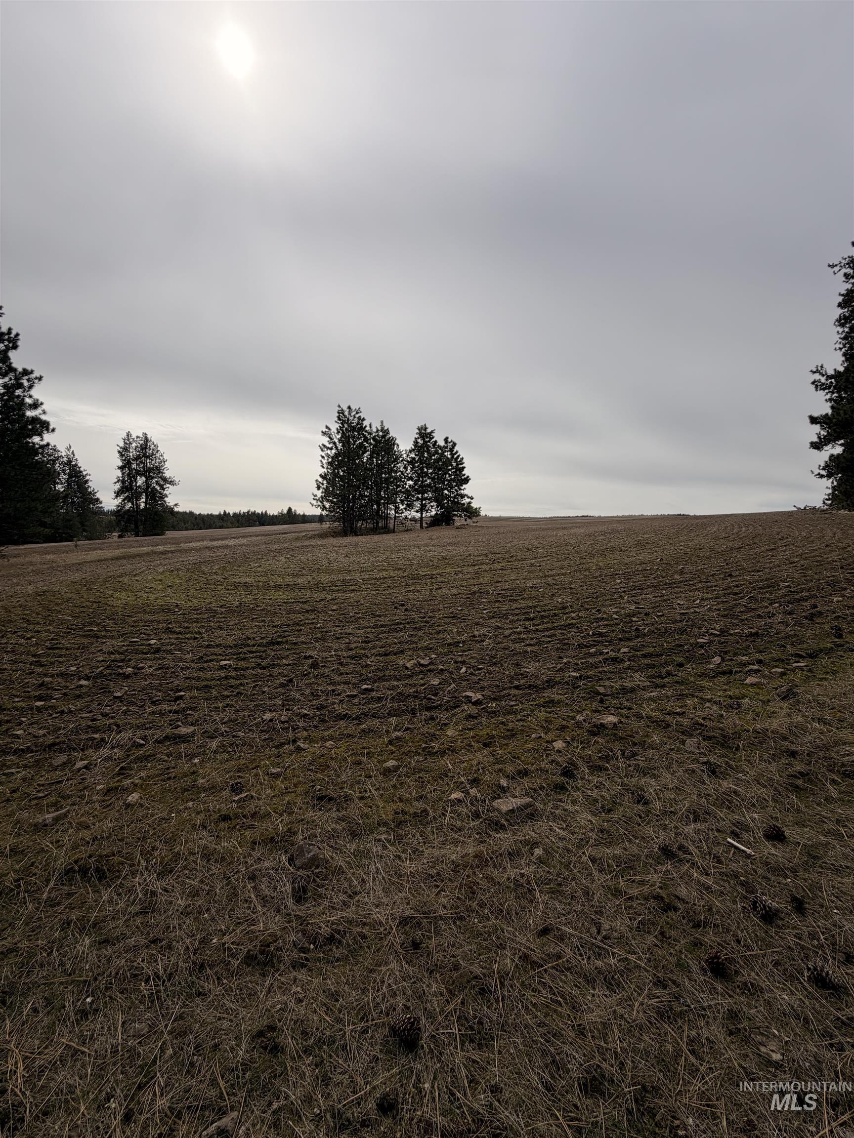 Tbd Sandhill Road Winchester, ID 83555 - Photo 22 of 25 View of local wilderness with rural landscape
